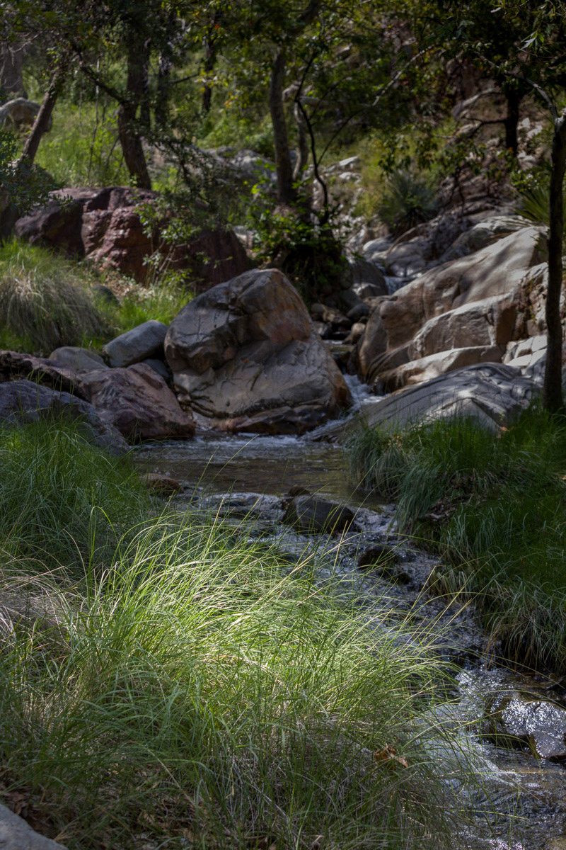 More water than I could ever imagine flowing in the Sonoran Desert