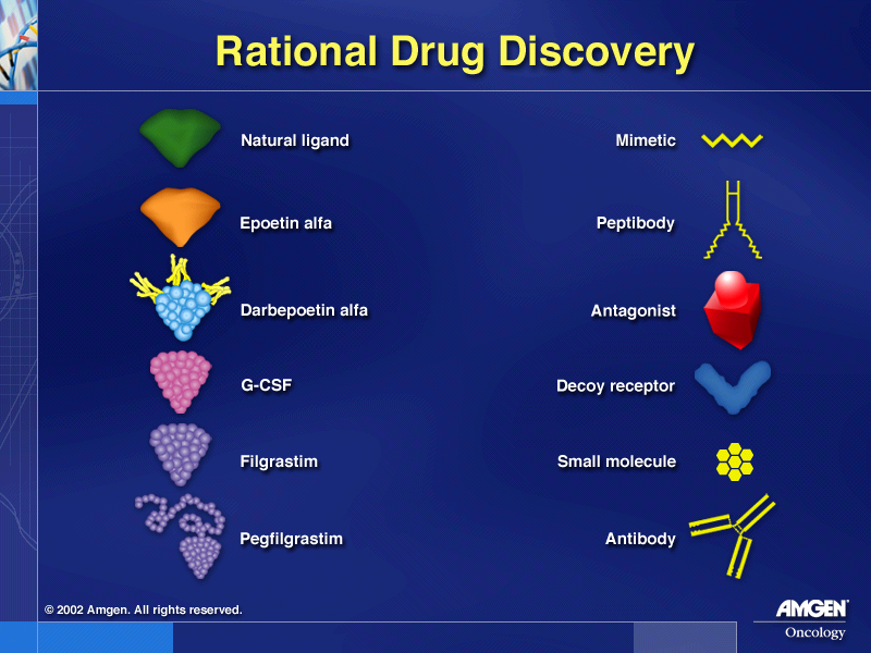 Rational Drug Discovery Process