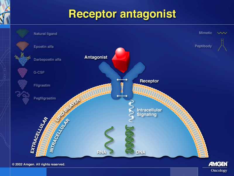 Presenting Receptor Antagonists