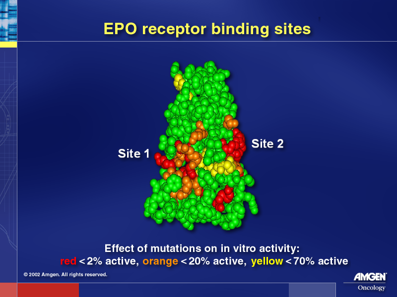 EPO Receptor Binding Sites 1 & 2