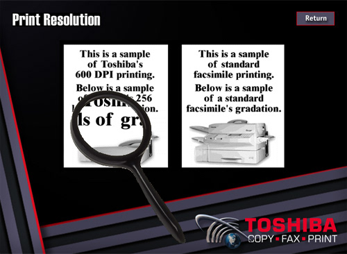 Interactive (working) Magnifying Glass