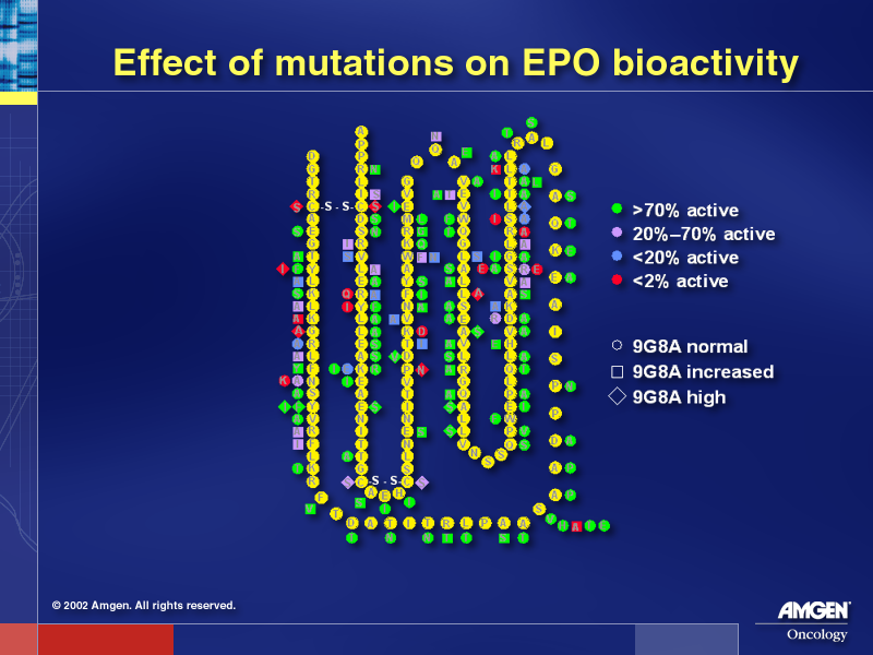 Mutations Effects on EPO Bioactivity