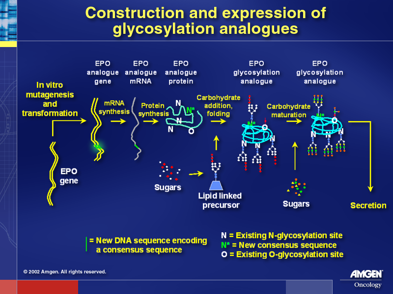 Glycosylation Analogues