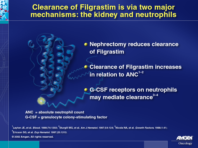 Clearance: the Kidney & Neutrophils