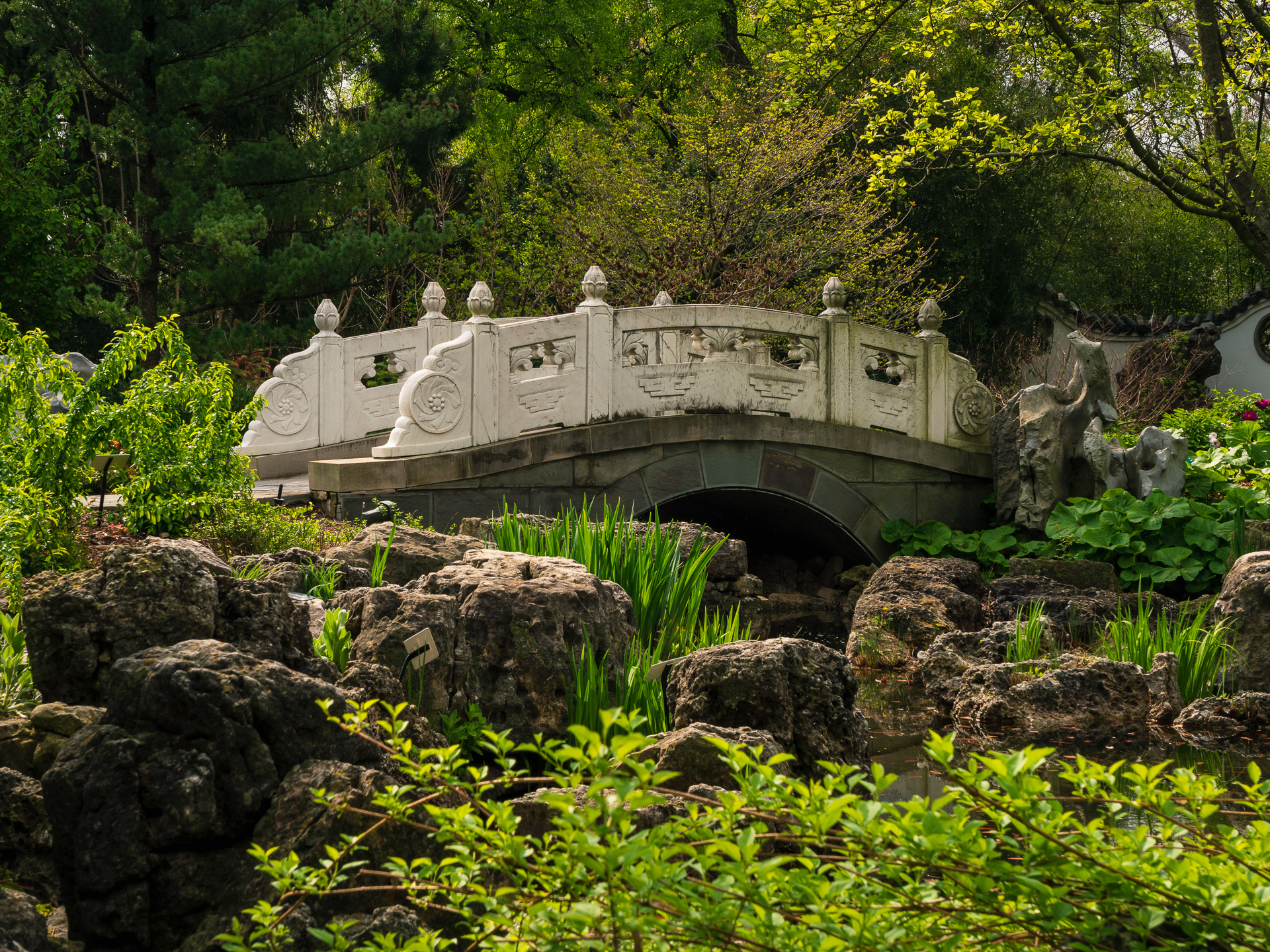 Missouri Botanical Garden, Chinese Garden
