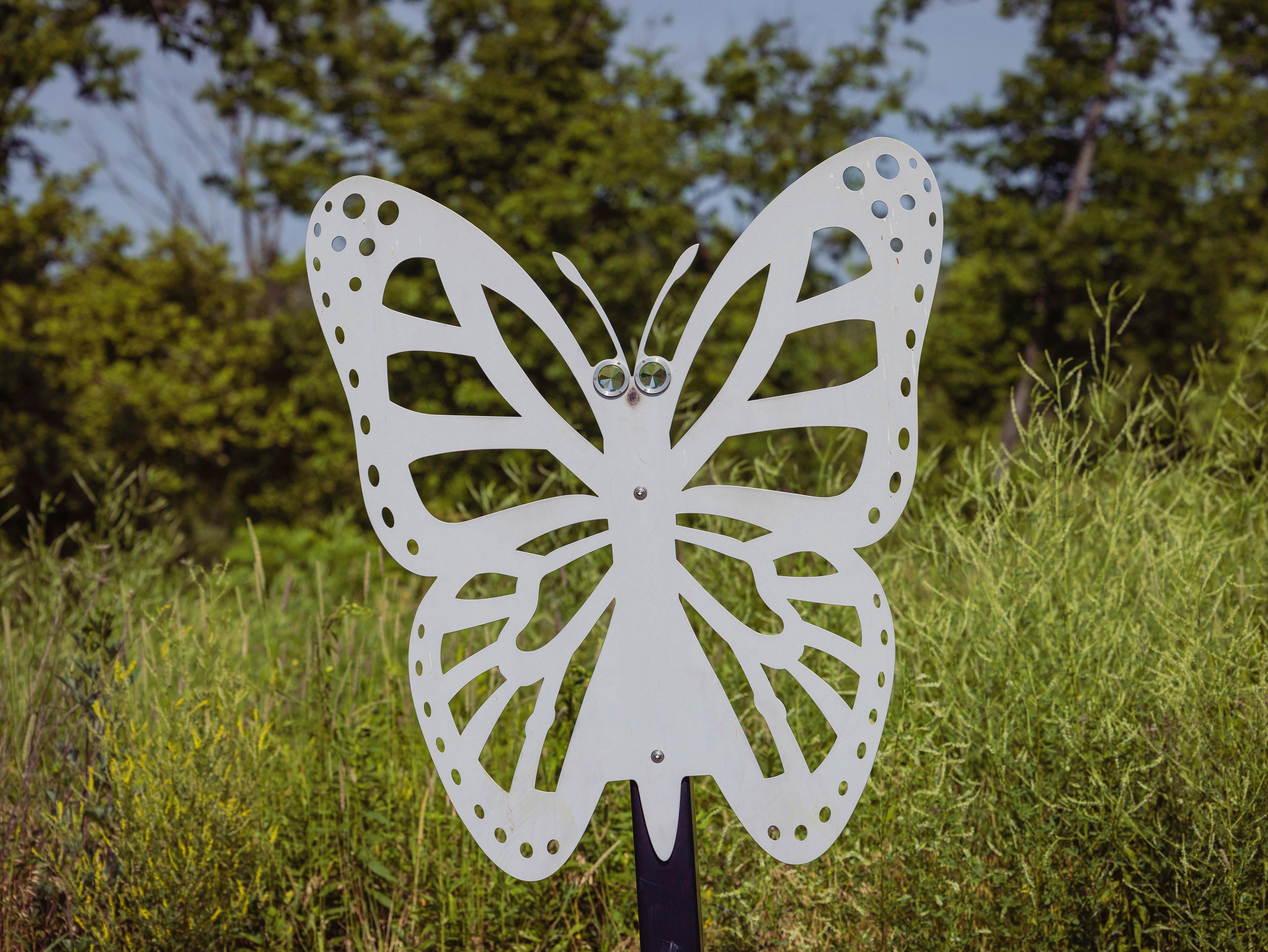 Iron Butterfly
