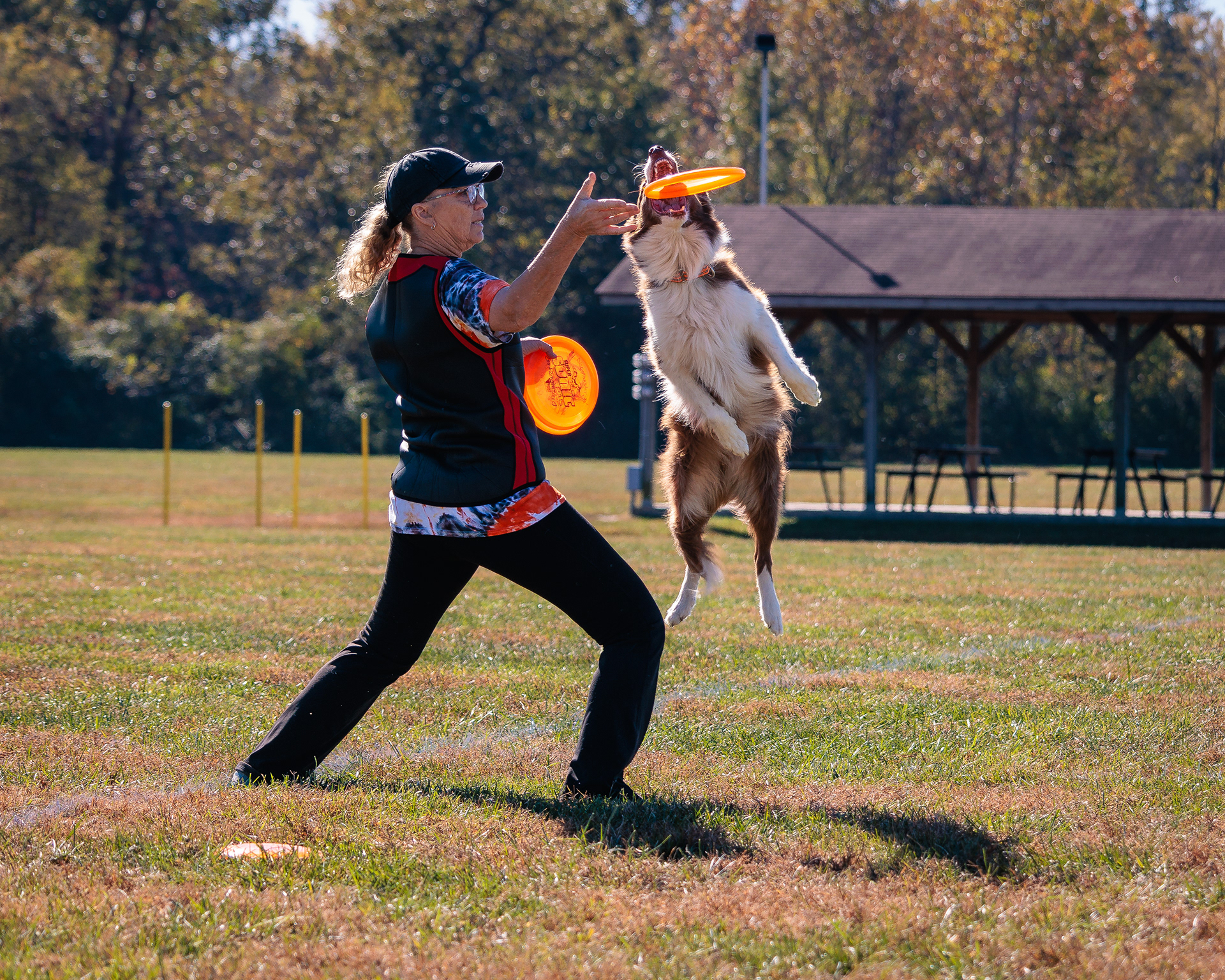 Disc Dogs
