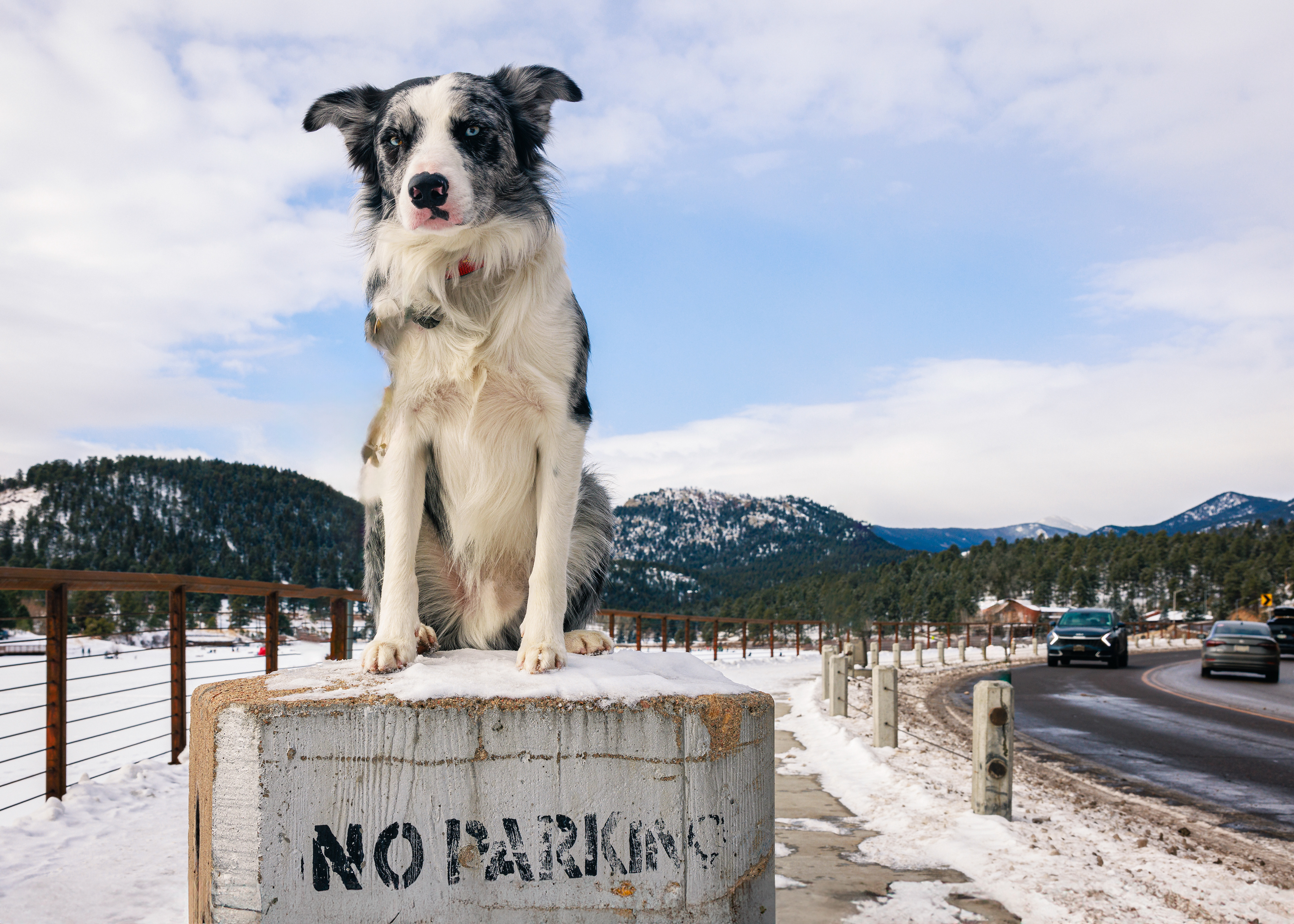 No parking Skylar and also no chasing cars