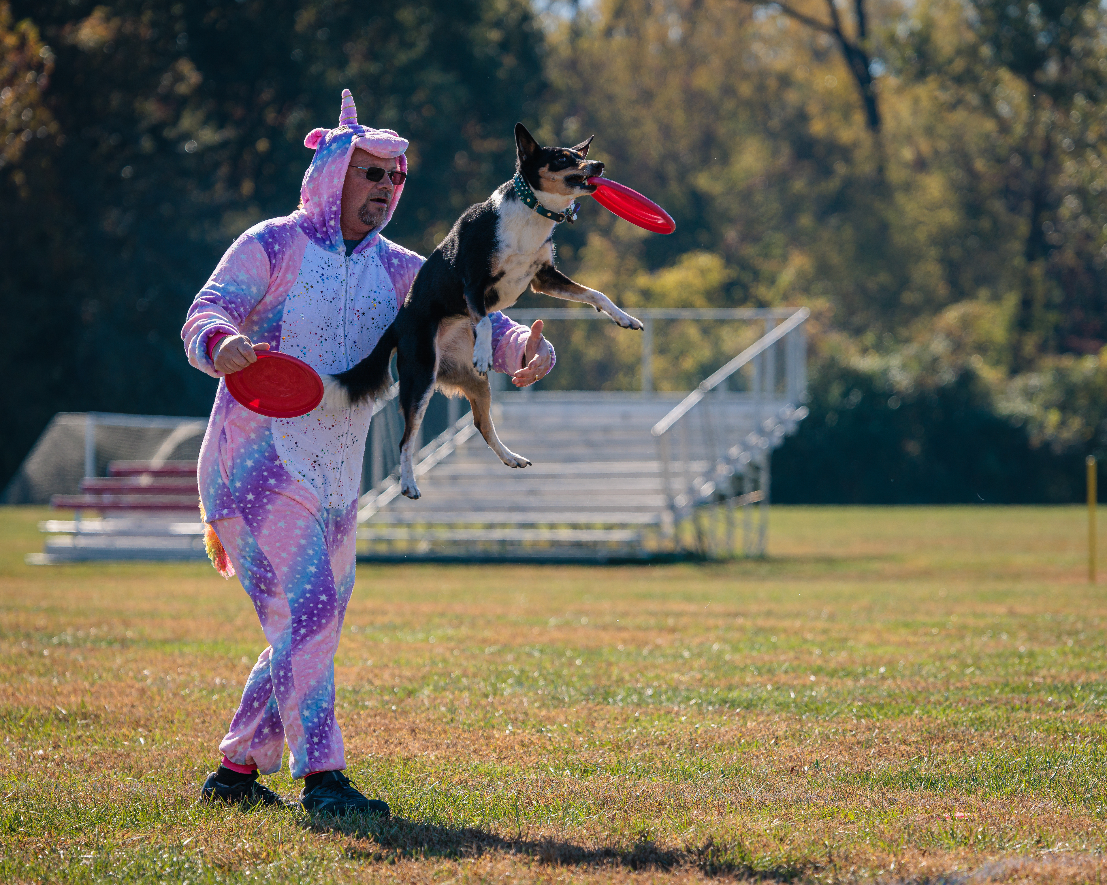 Disc Dogs