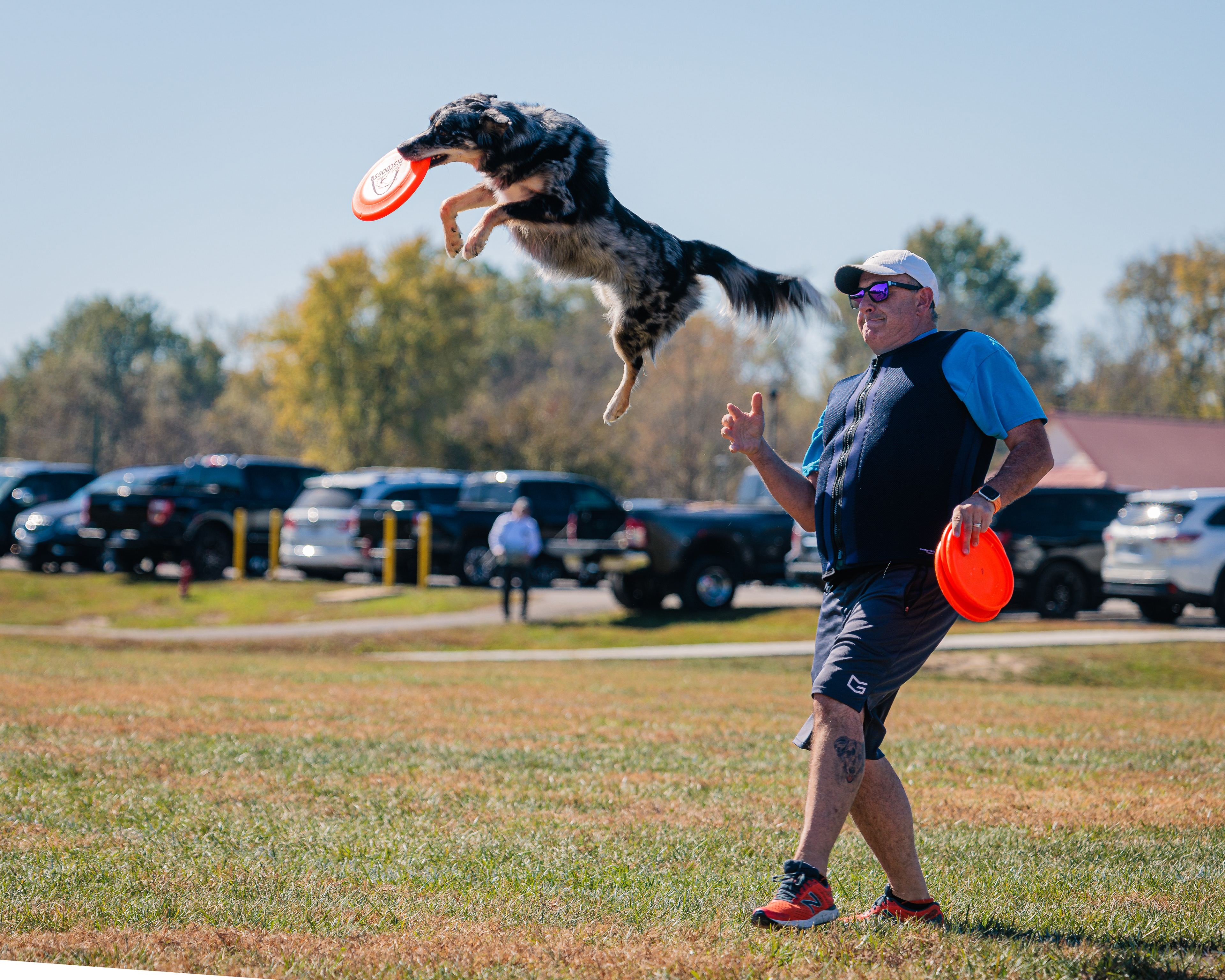 Disc Dogs