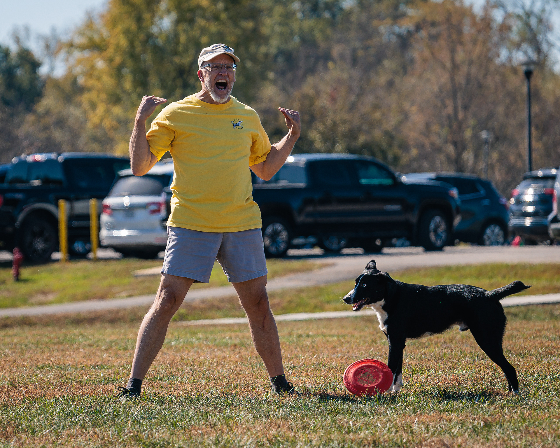 Disc Dogs