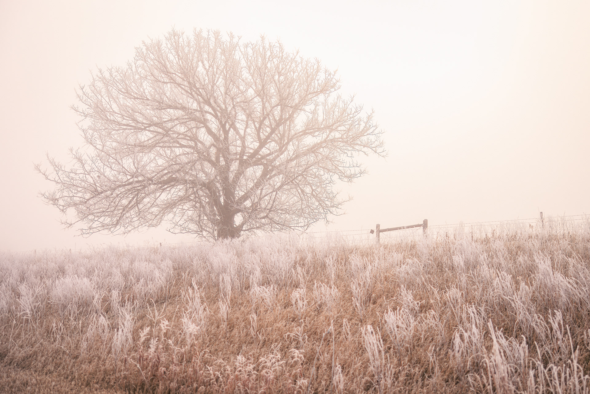 Lone Tree Kansas, Ice fog