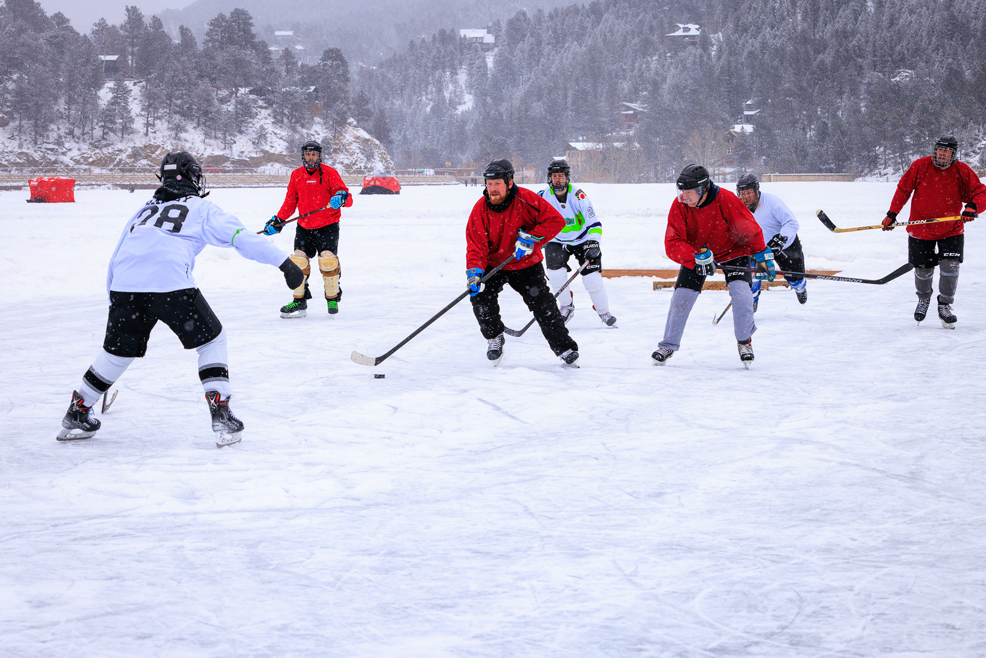 Pond Hockey