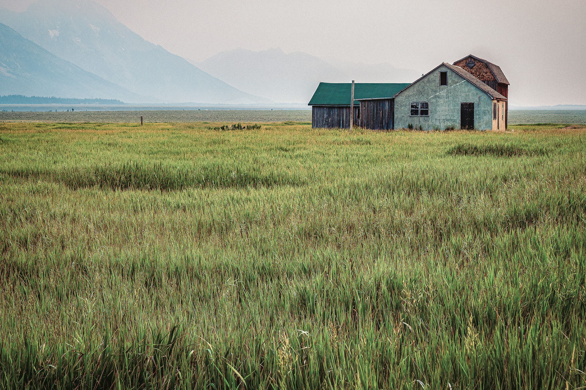 Between Us, The Field, Grand Teton