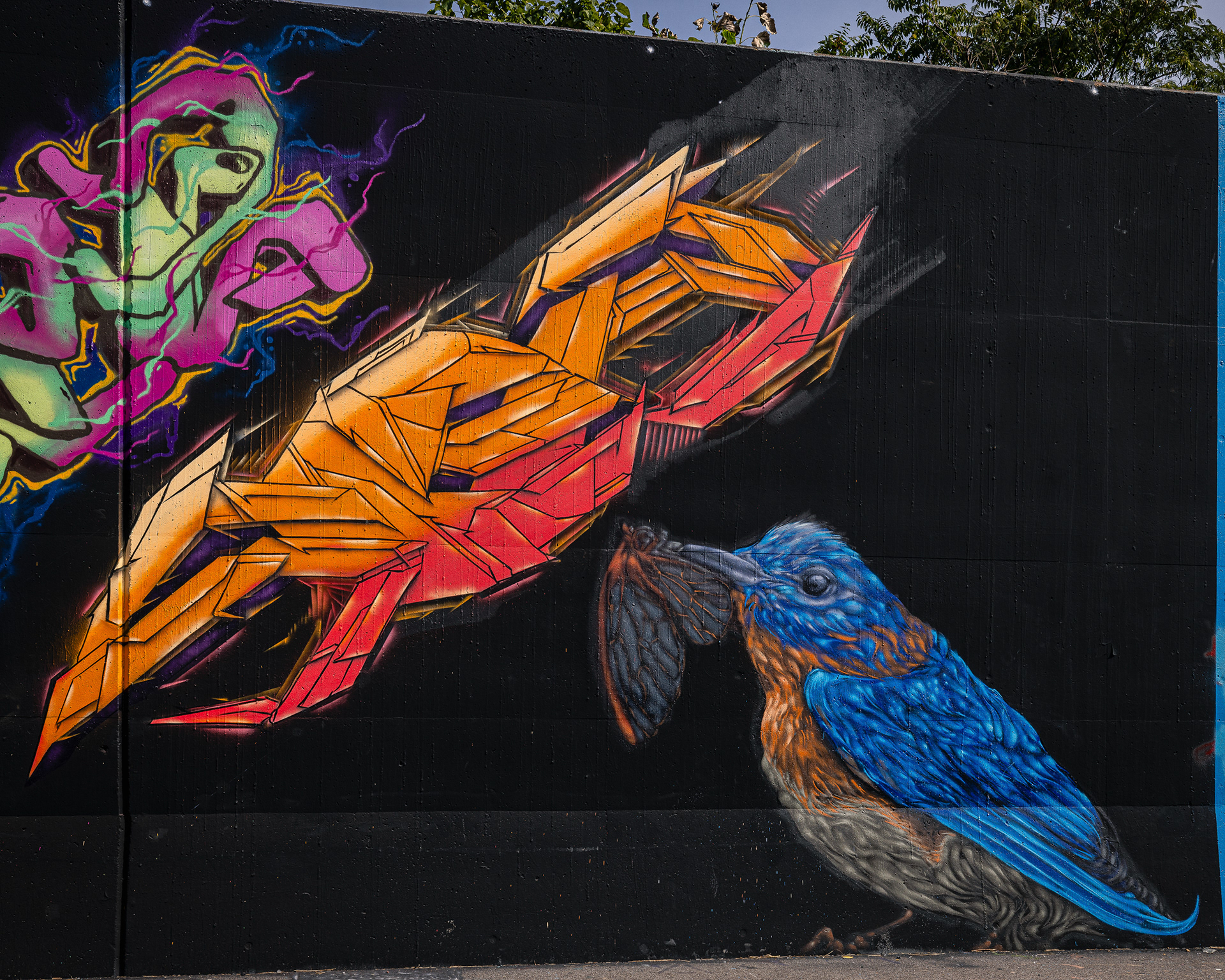 Flight Pattern - Paint Saint Louis 2024