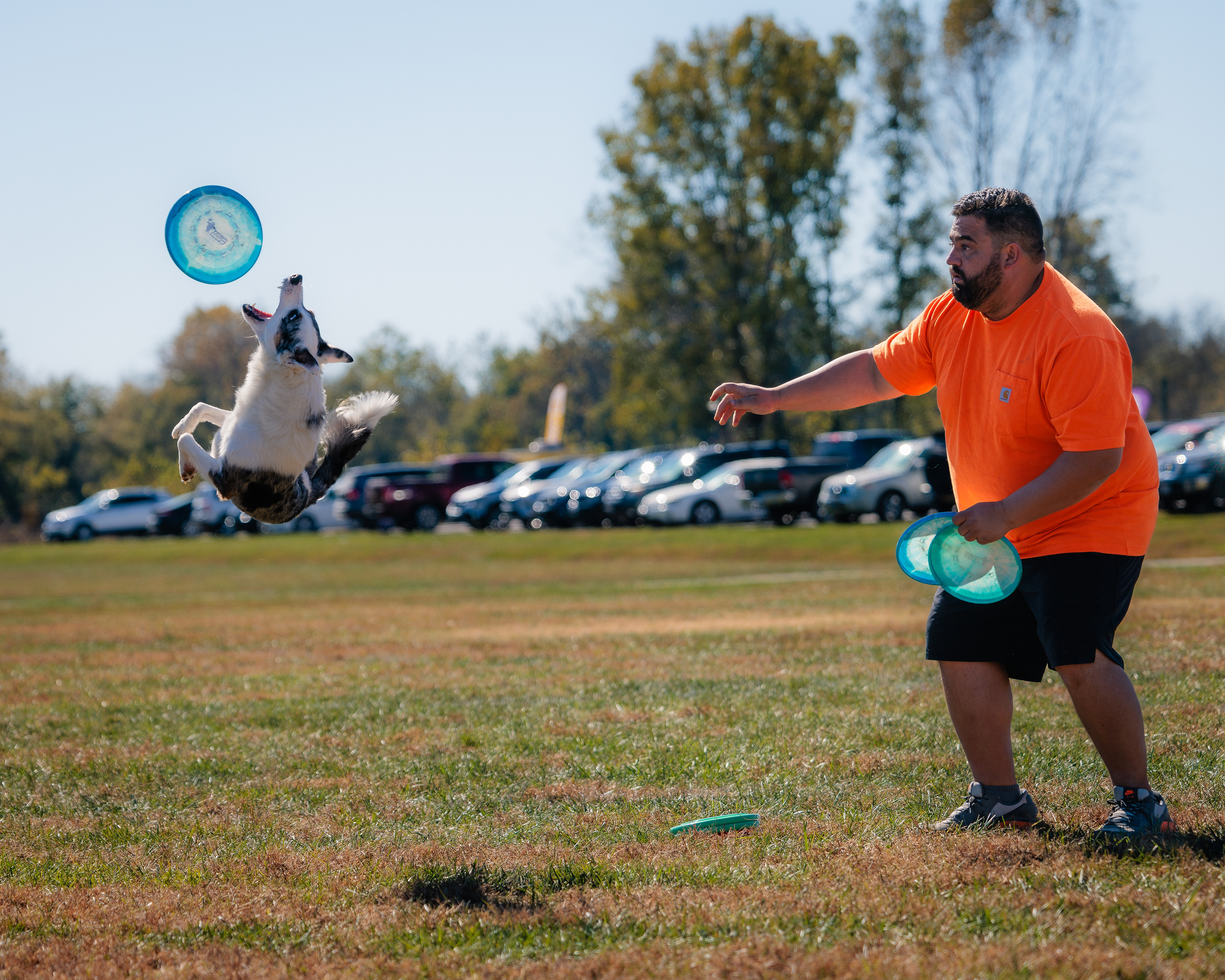 Disc Dogs