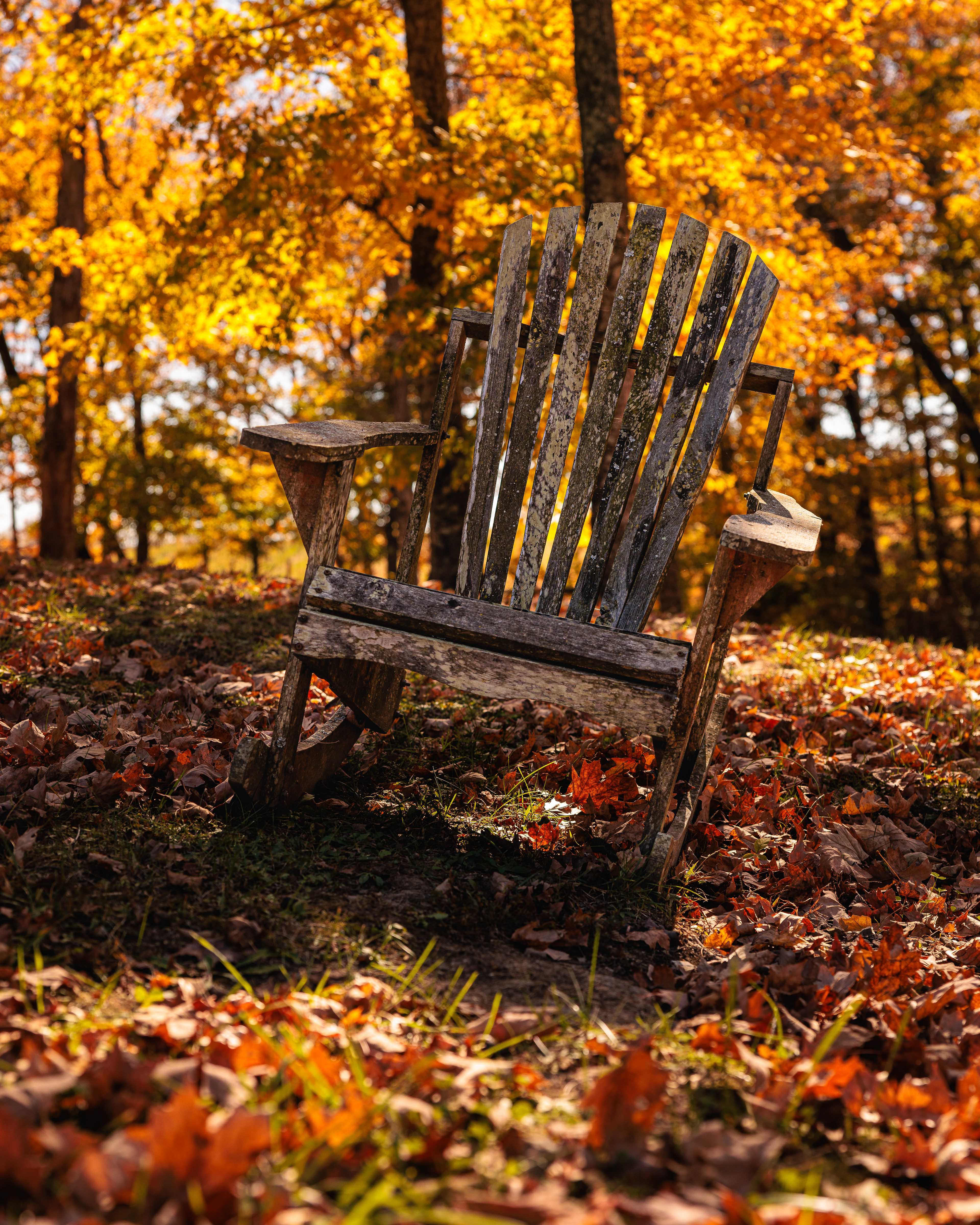 Chair Sandy Creek Winery