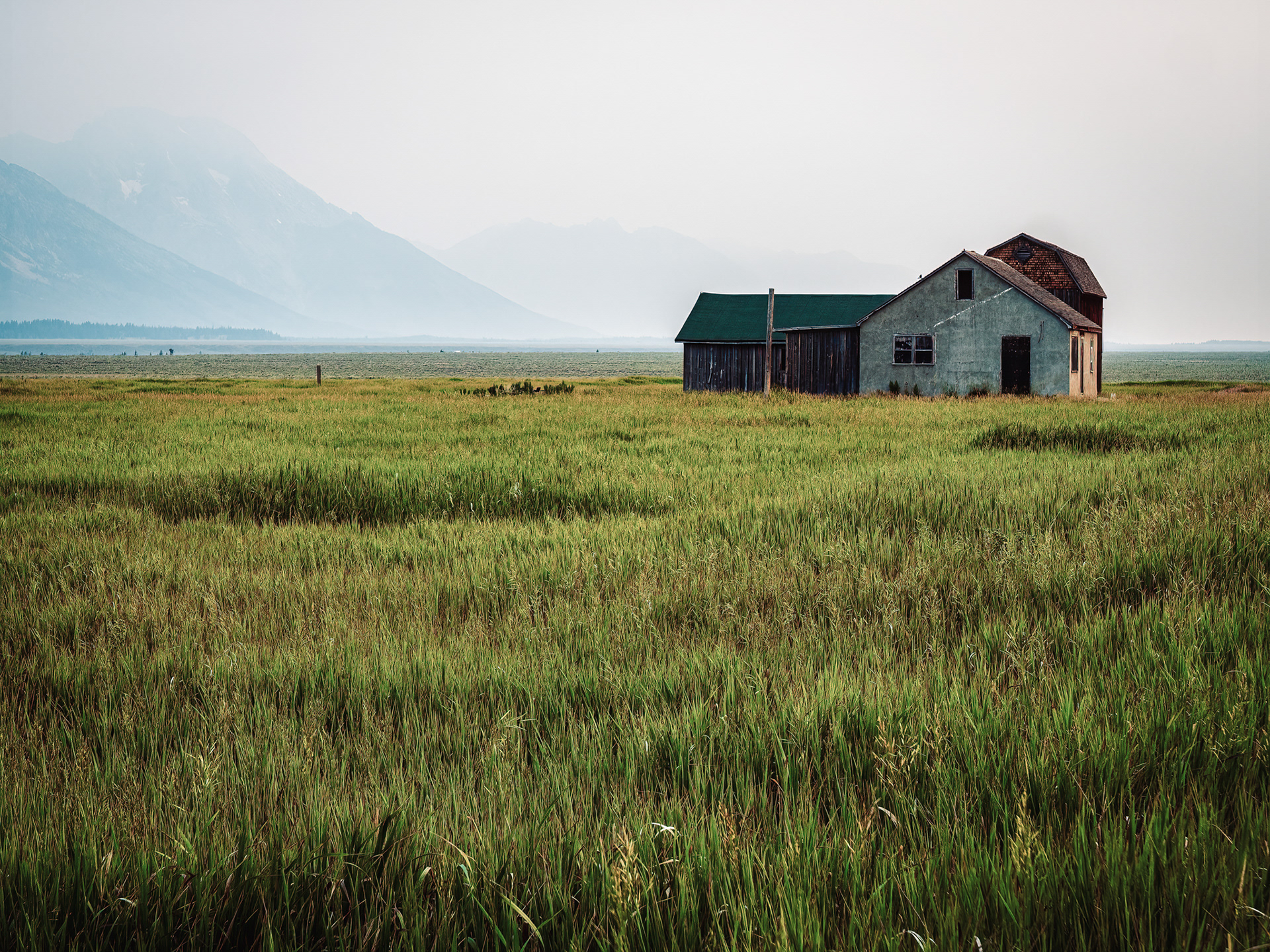 Between Us, the Field