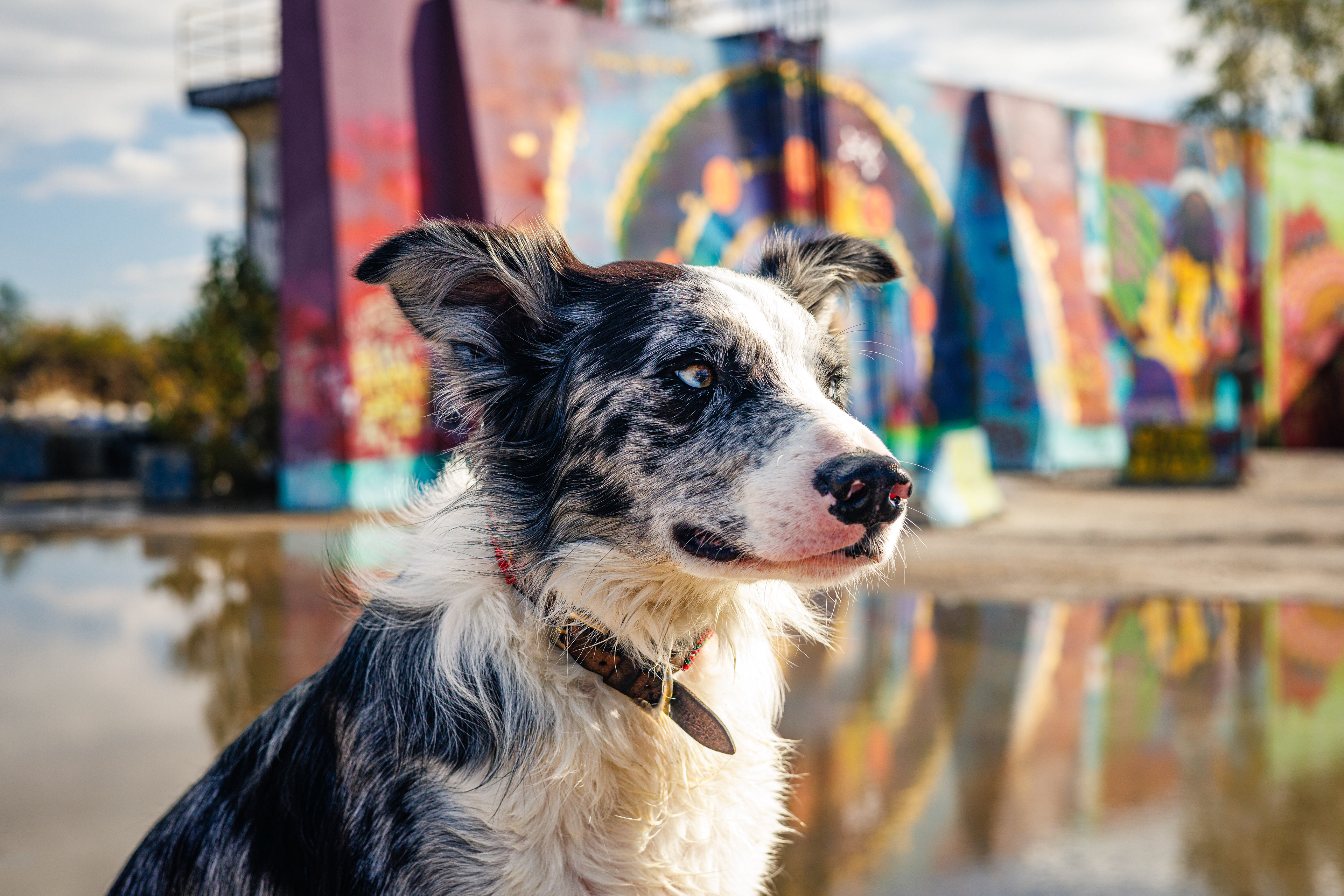 Skylar at Mural Mile, Saint Louis