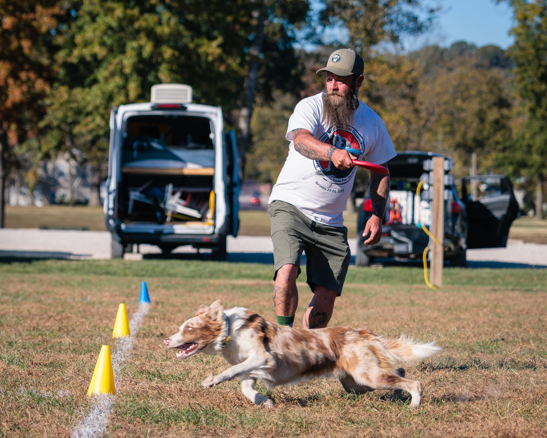 Disc Dogs