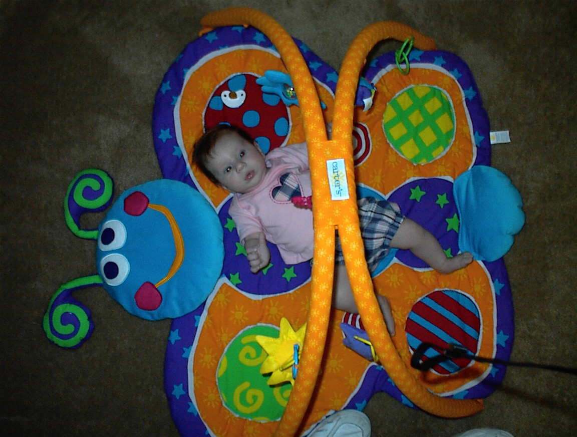 Baby Butterfly