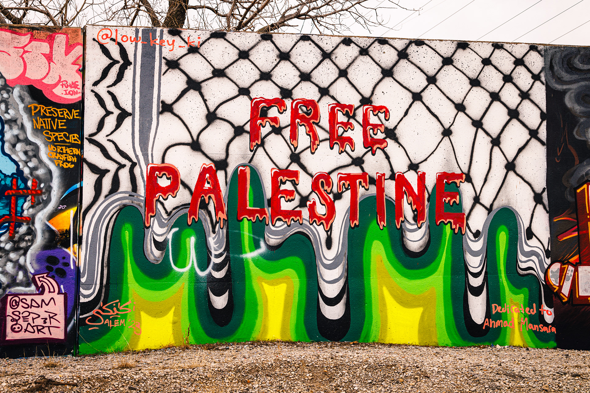 Free Palestine Mural