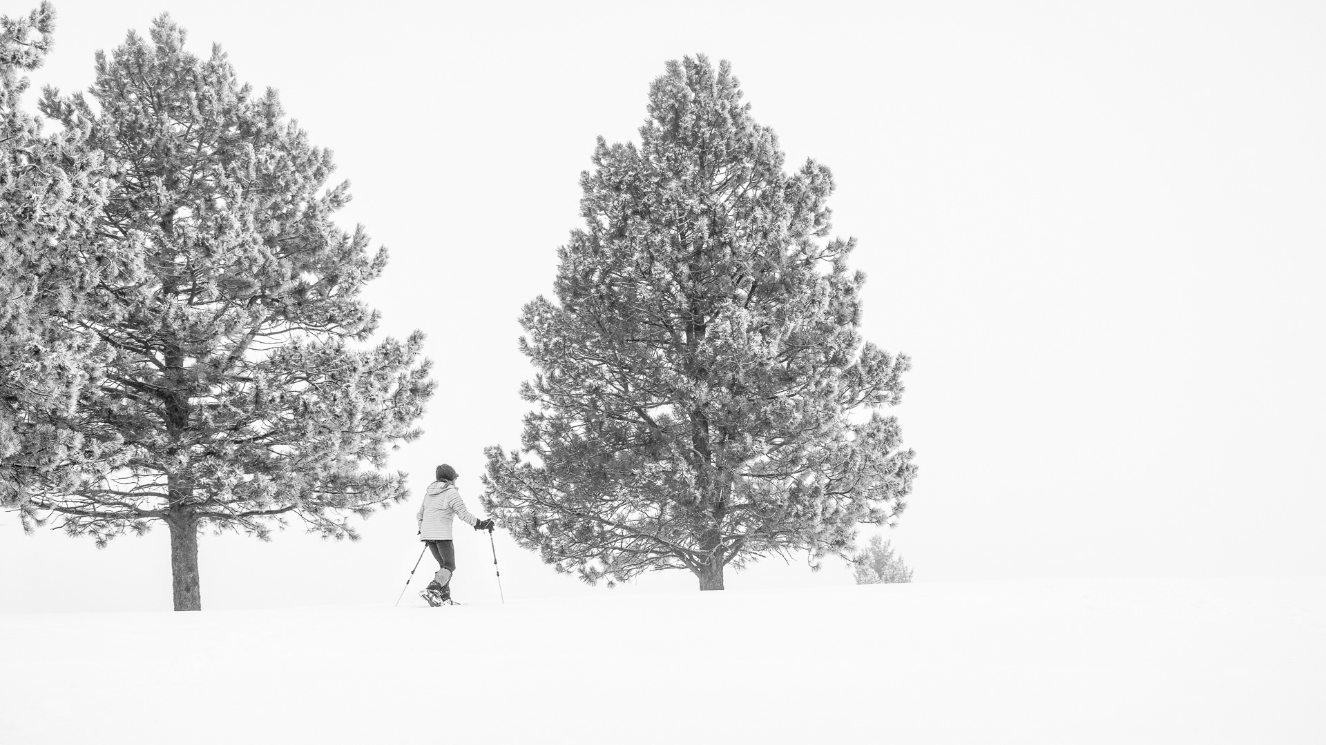 The Long Way Home, Evergreen, Colorado
