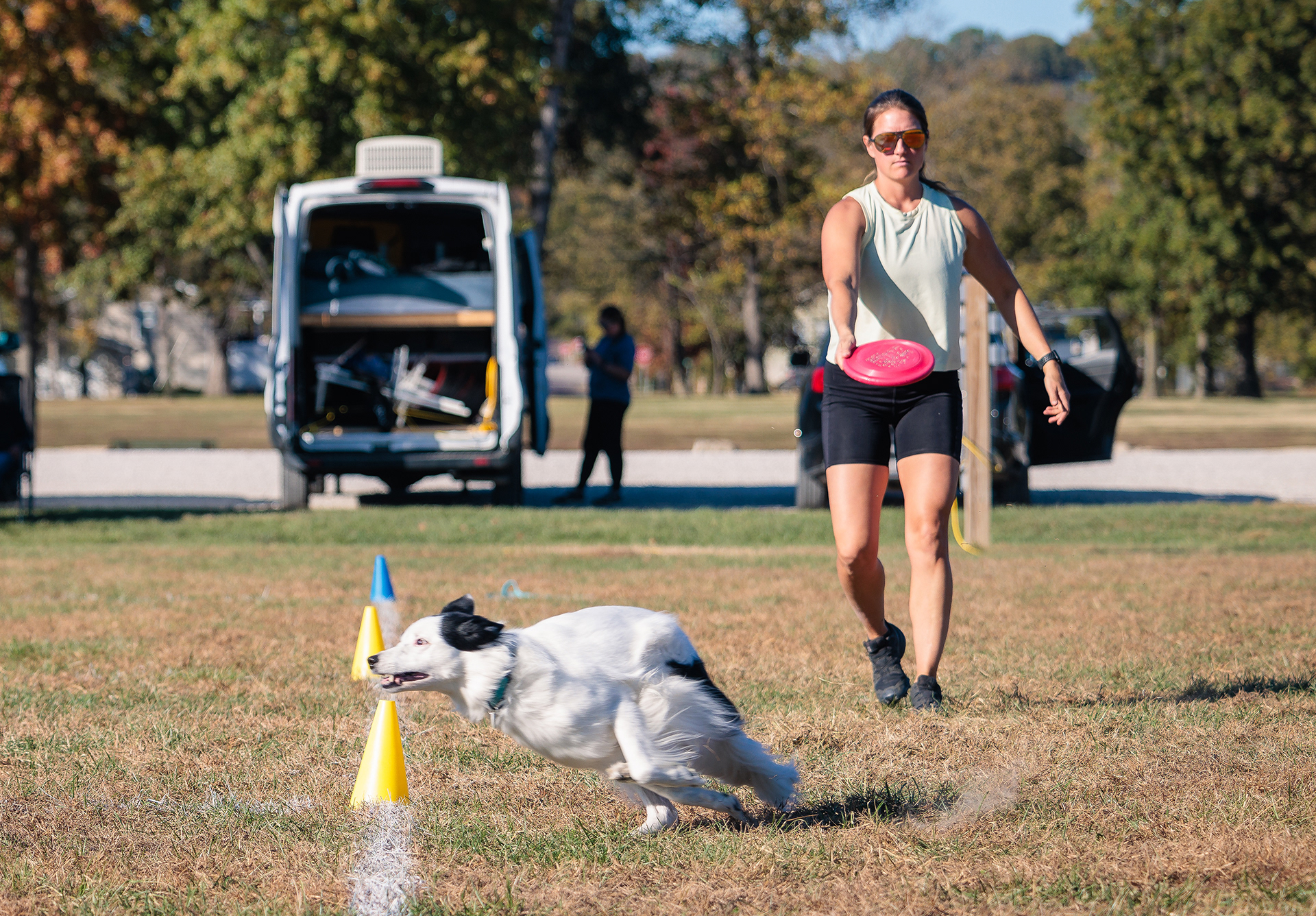 Disc Dogs