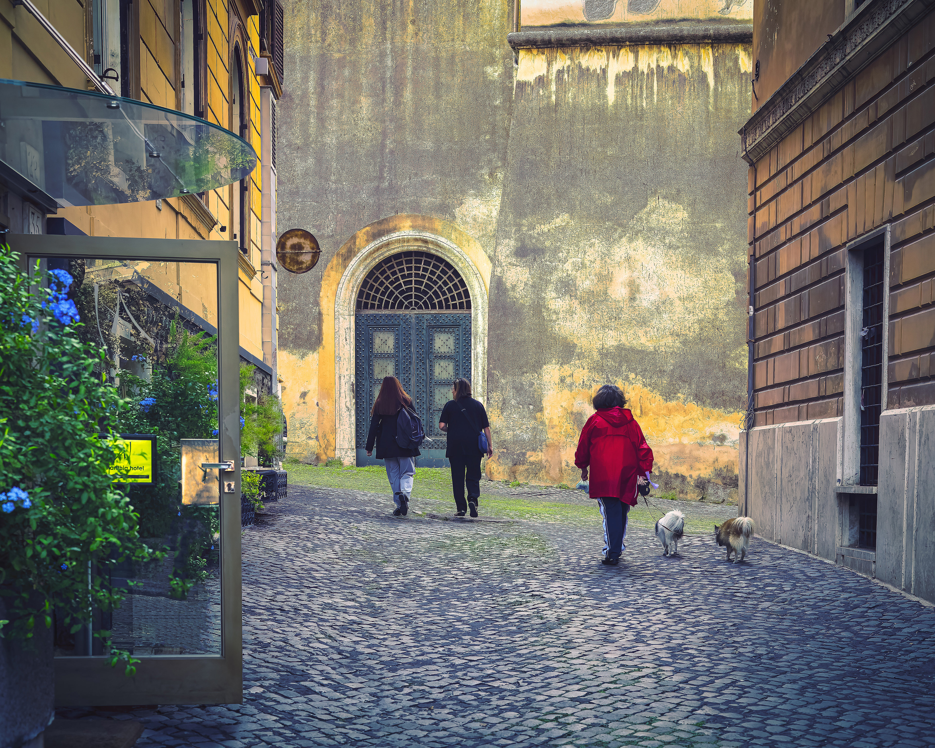 Walking Dogs in Rome