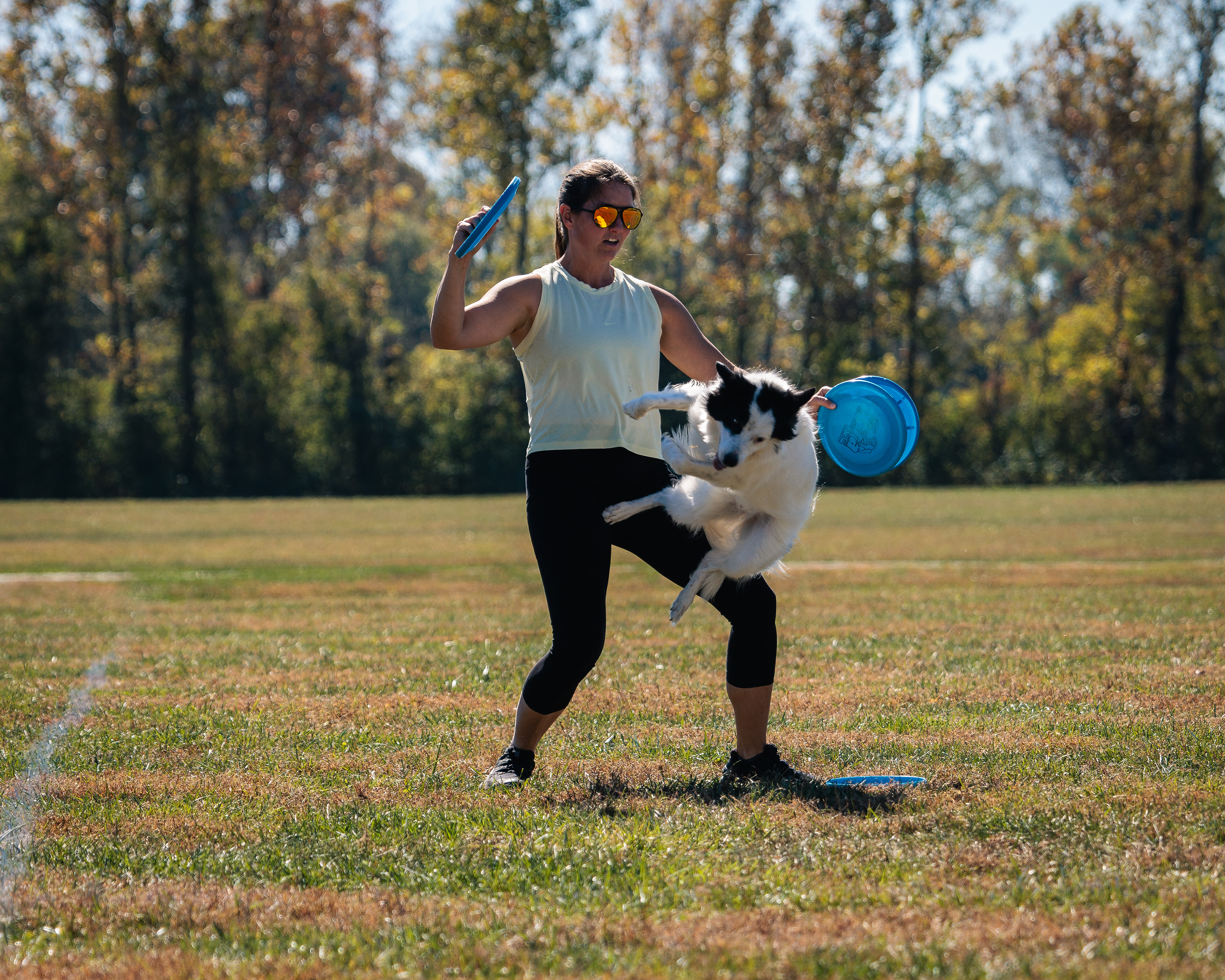 Disc Dogs