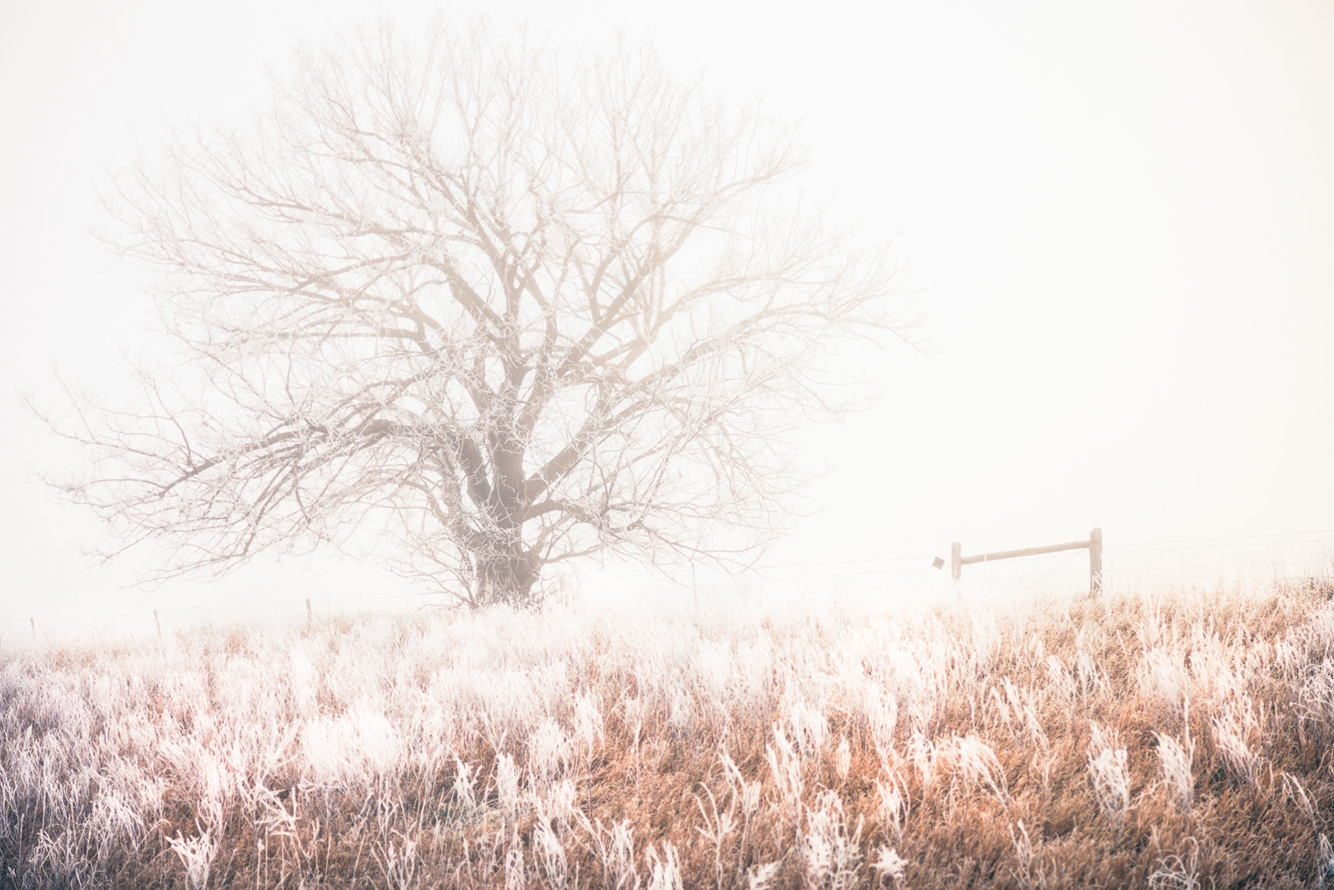 Kansas Ice Fog