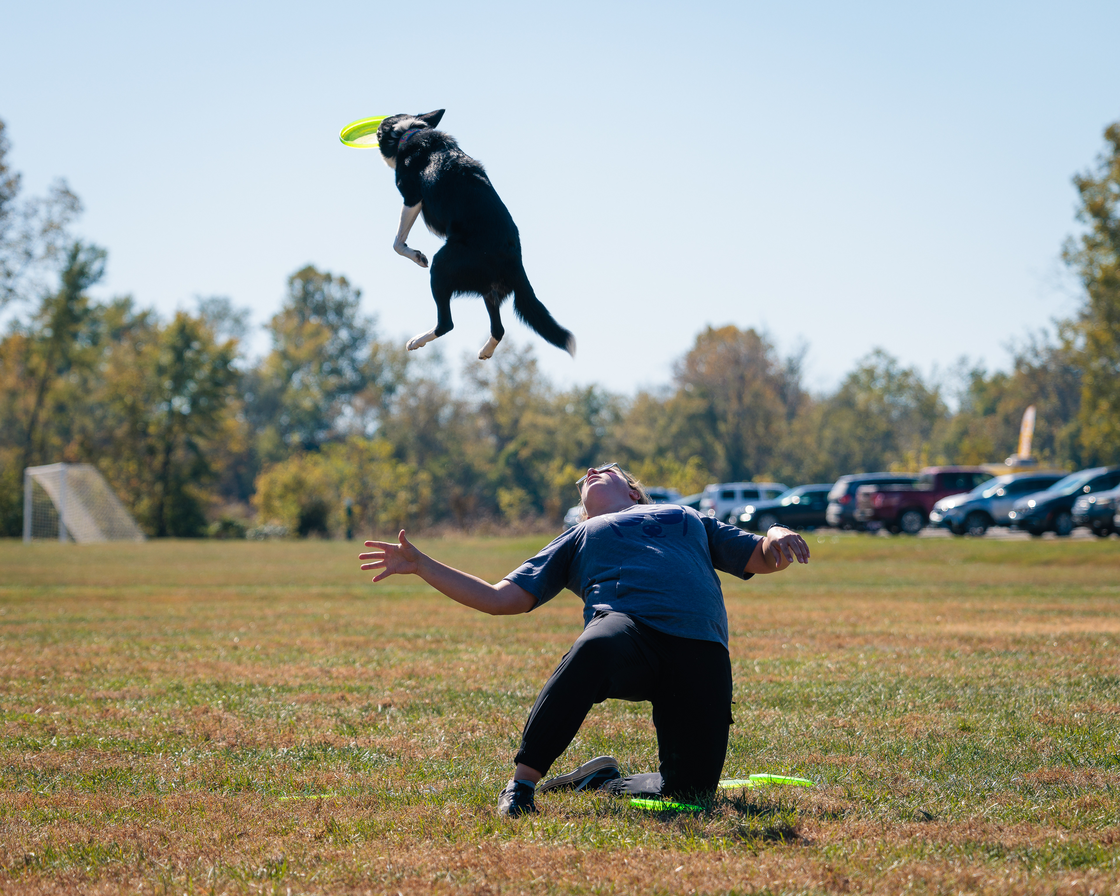Disc Dogs