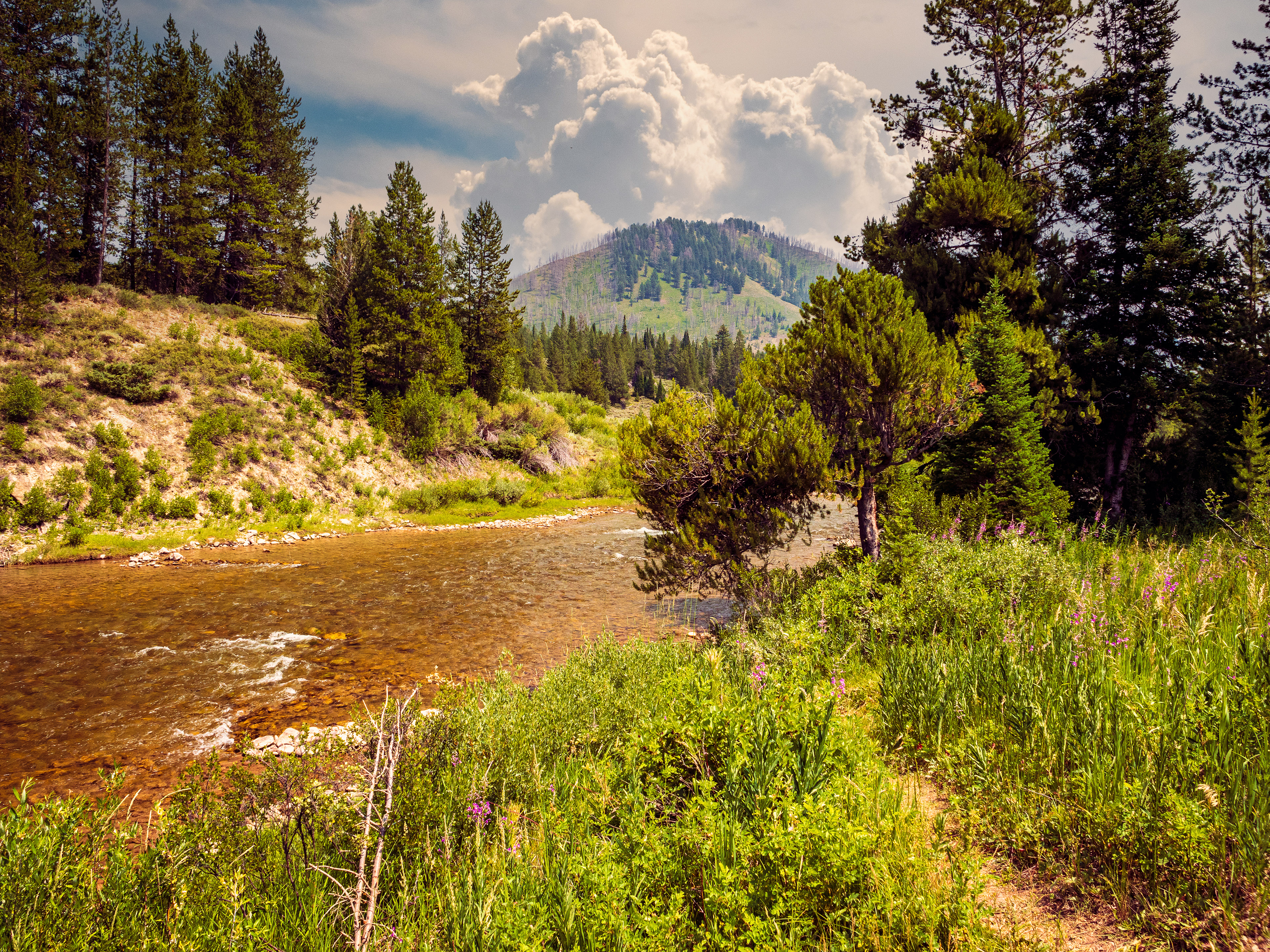 Grand Teton