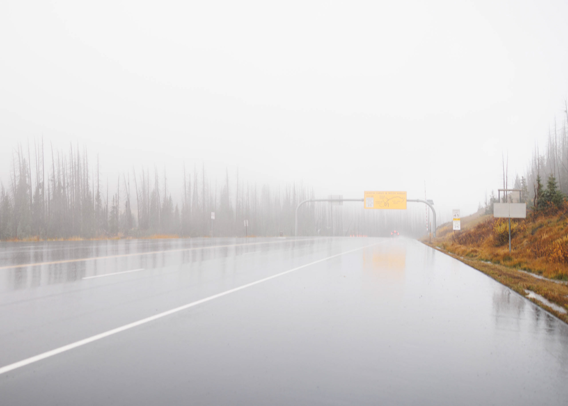 Into the Distance, Wolf Creek Pass, Colorado
