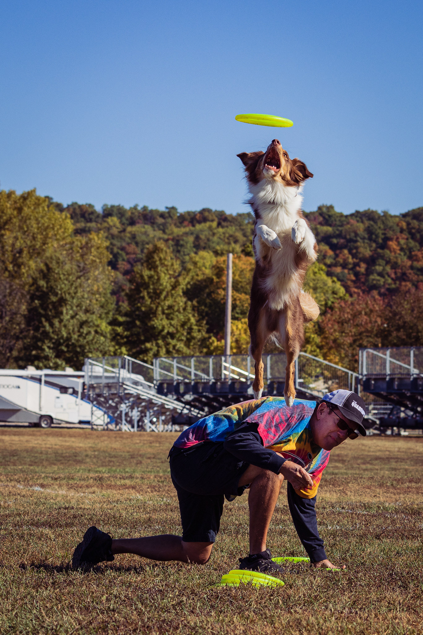 Jeff Frisbee