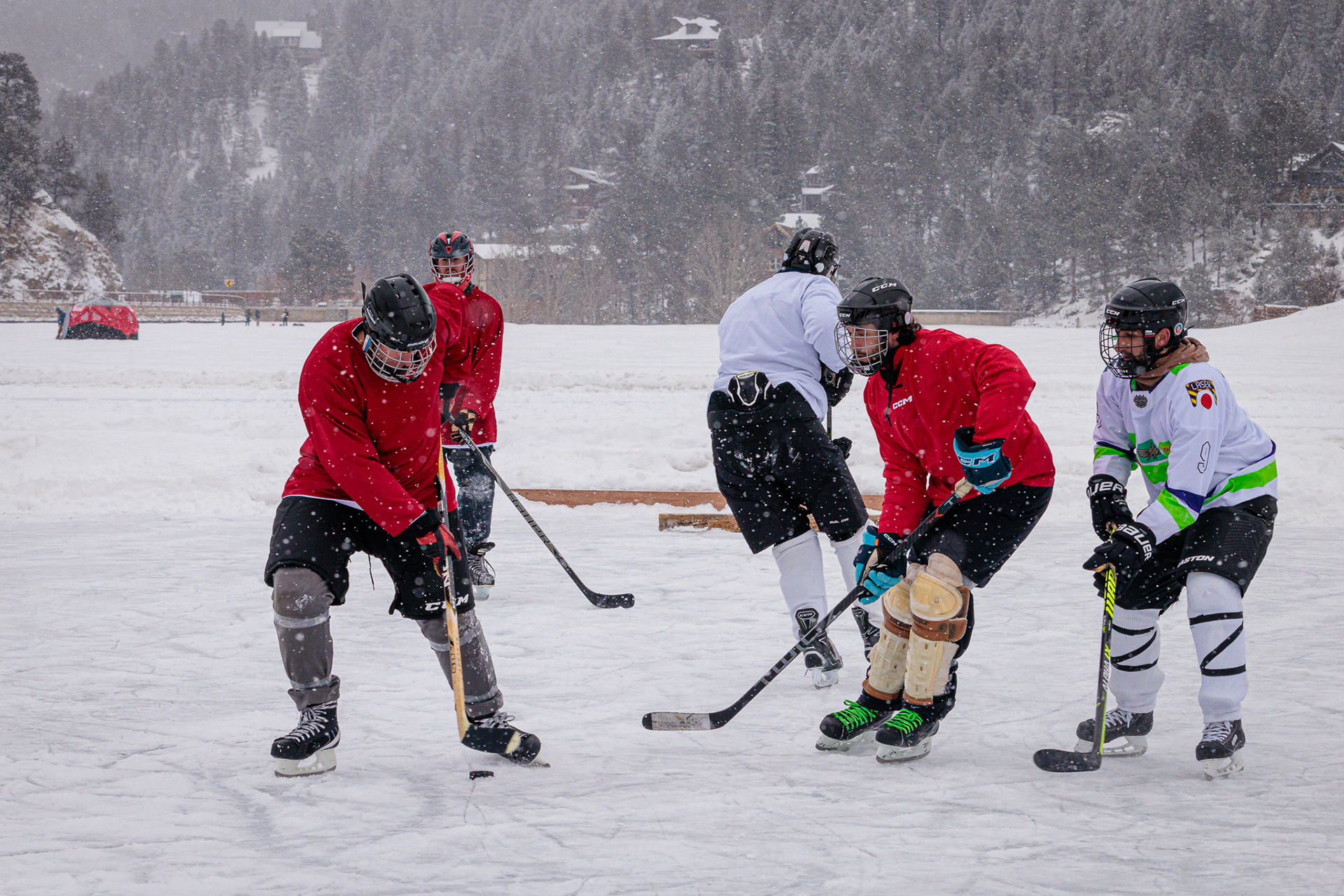 Fighting for the Puck