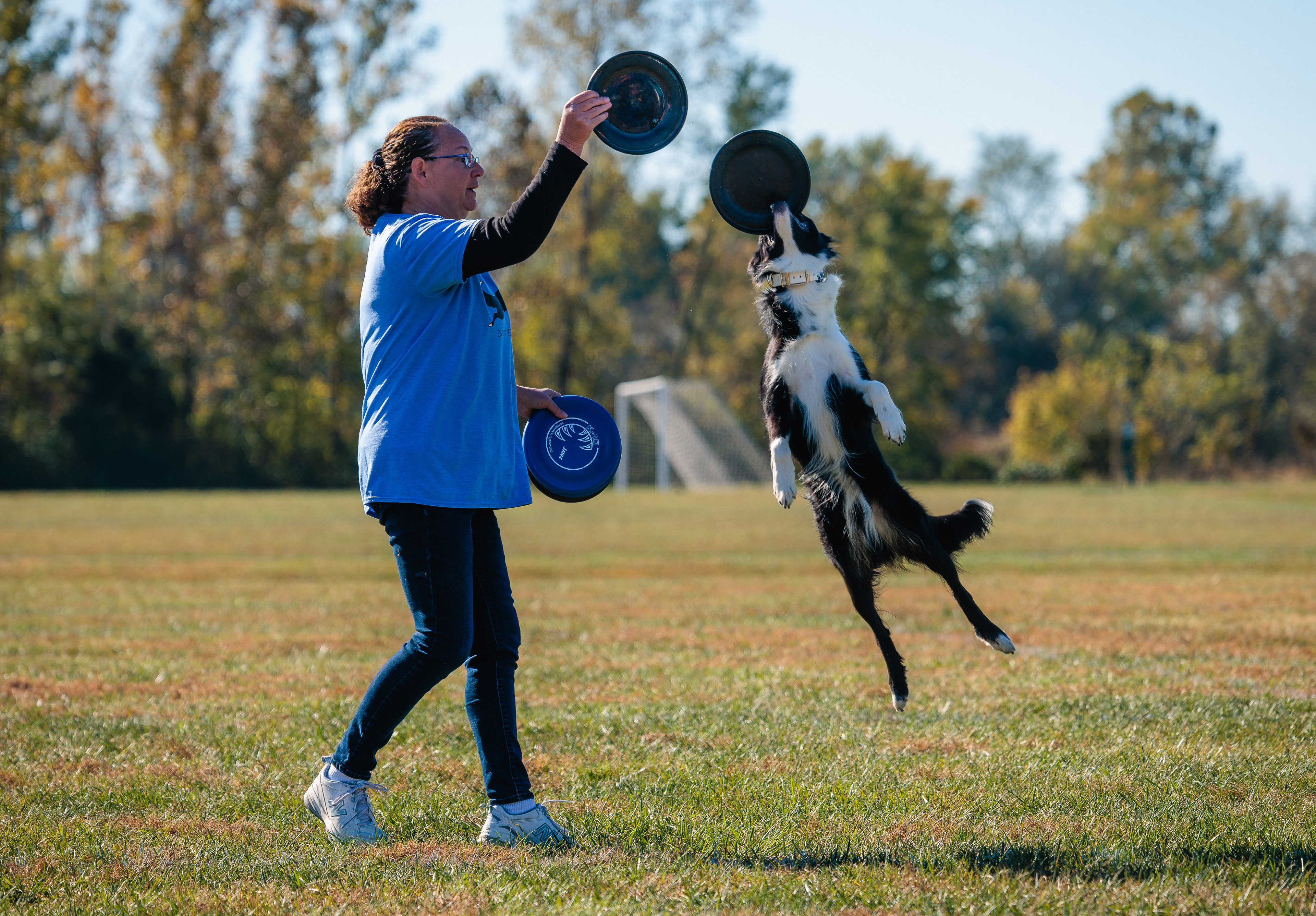 Disc Dogs