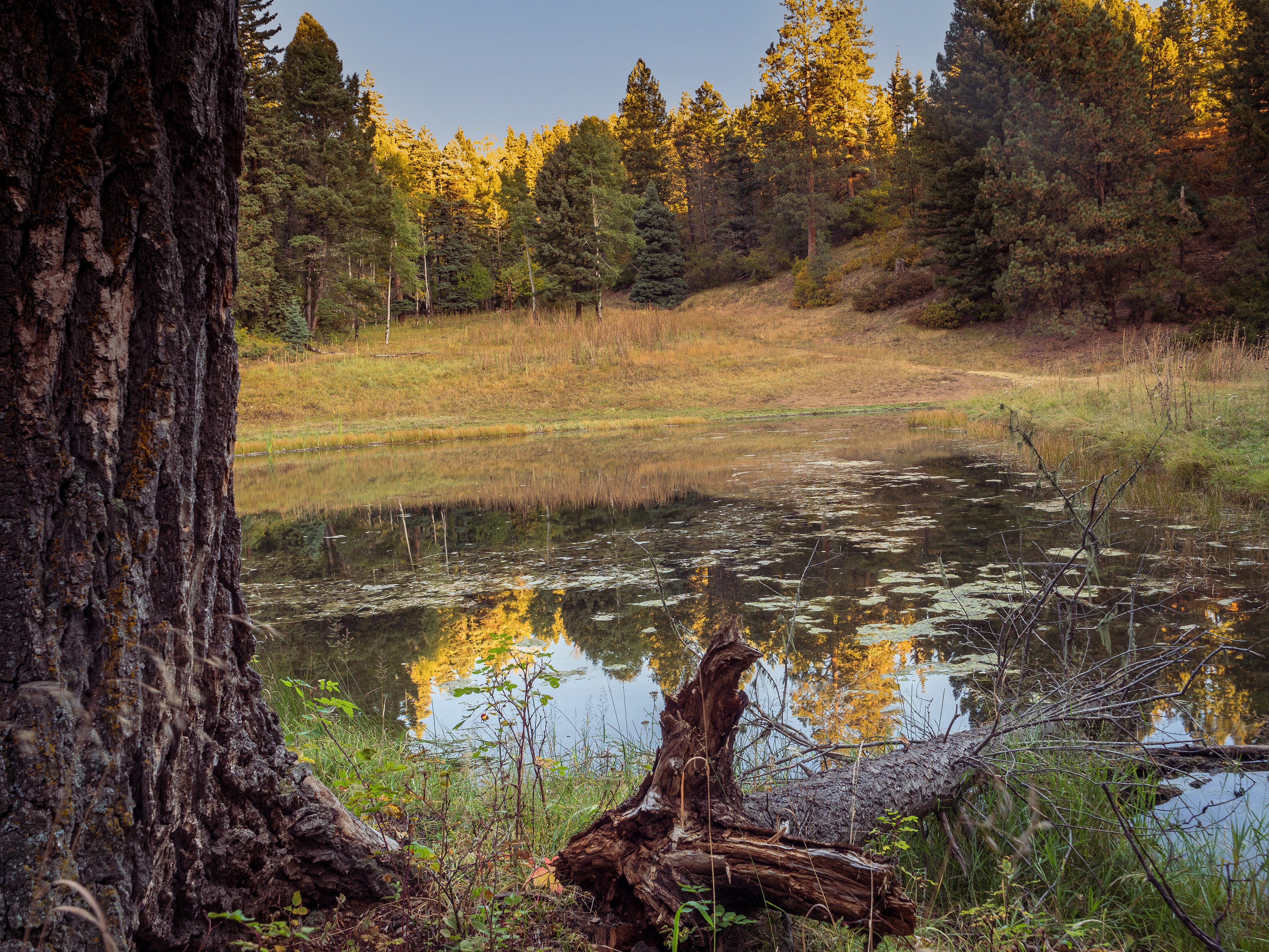 Sunrise Angel Fire, New Mexico