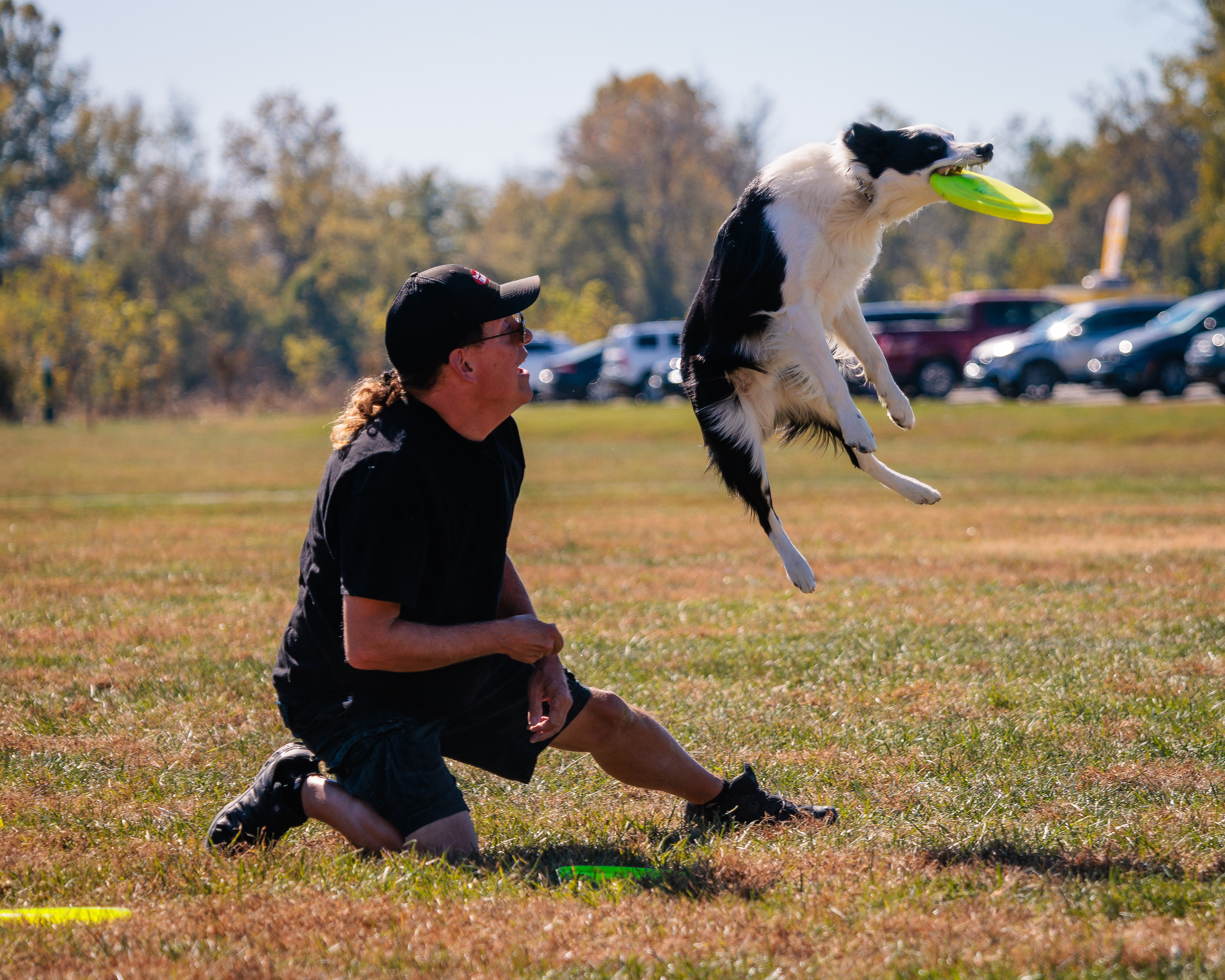 Disc Dogs