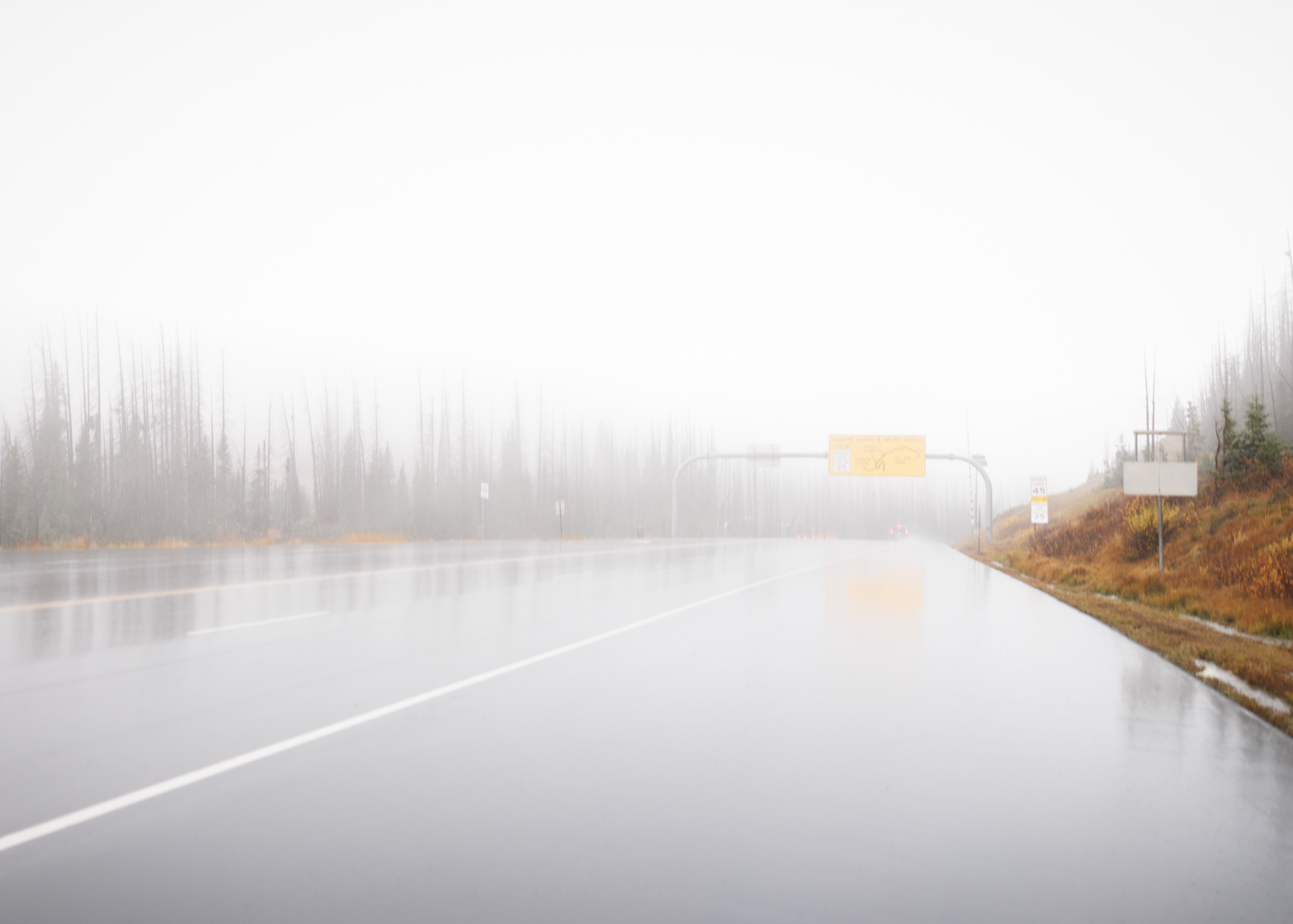 Before The Road Disappears, Wolf Creek Pass, Colorado