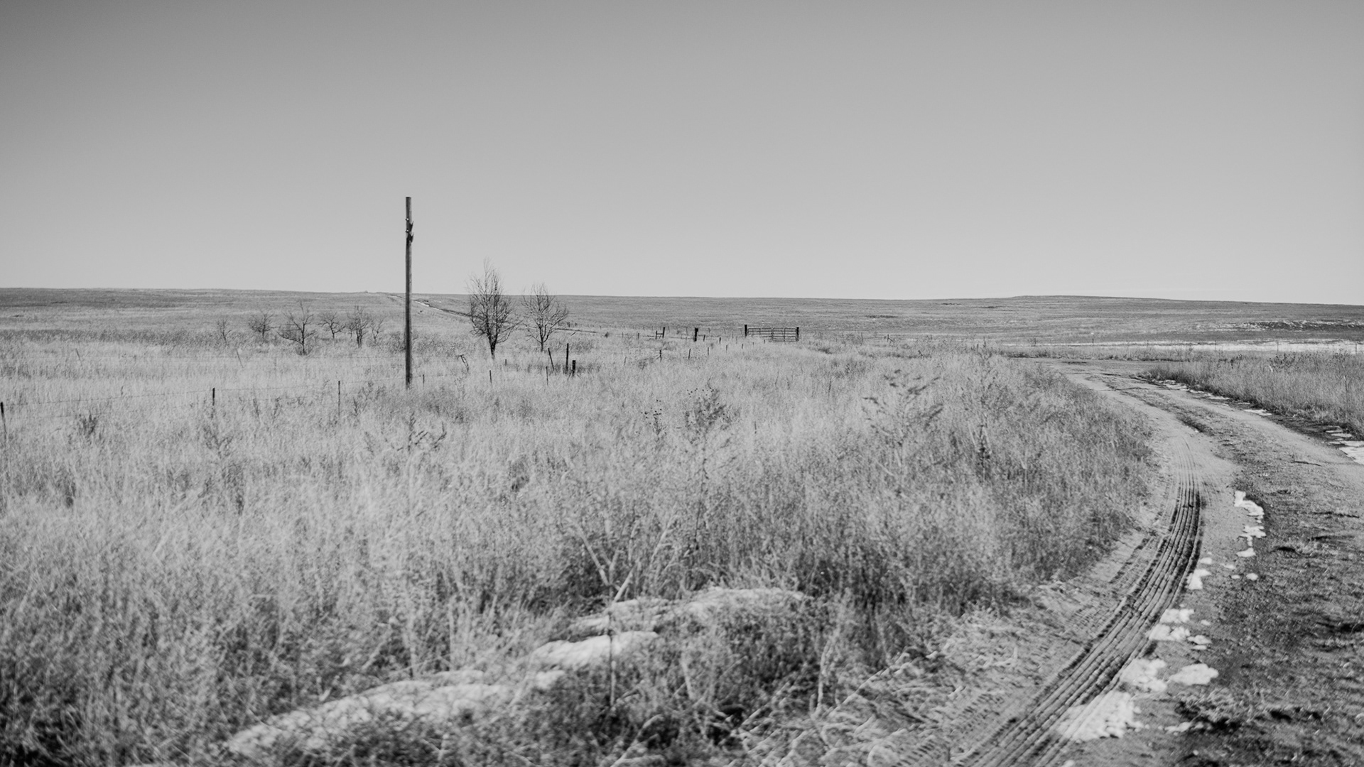 Open Prairie Road, Colorado