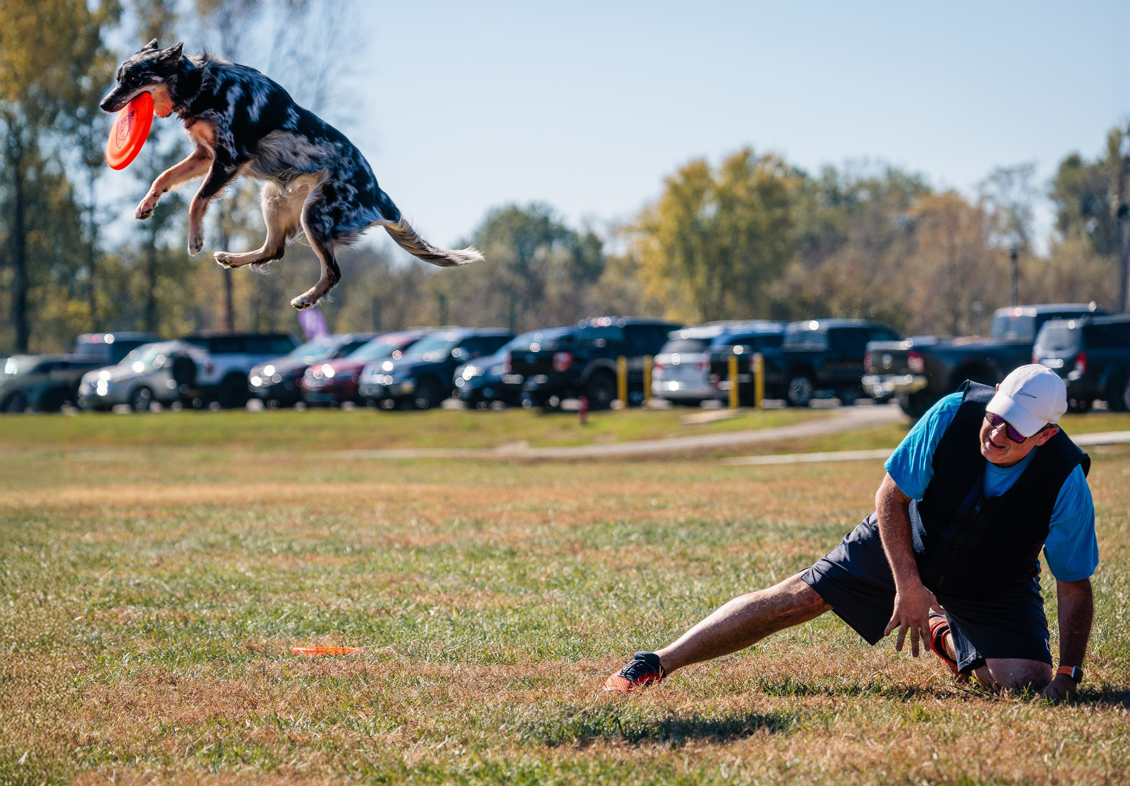 Disc Dogs