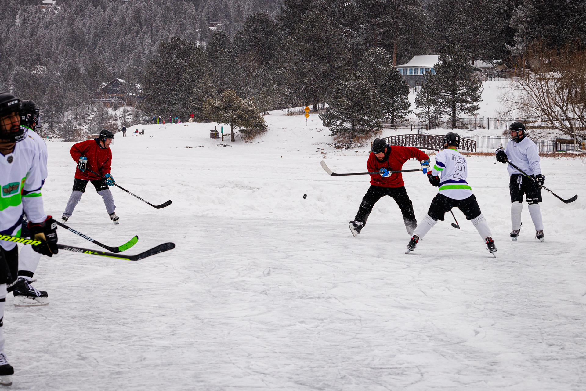 Pond Hockey "Defense"