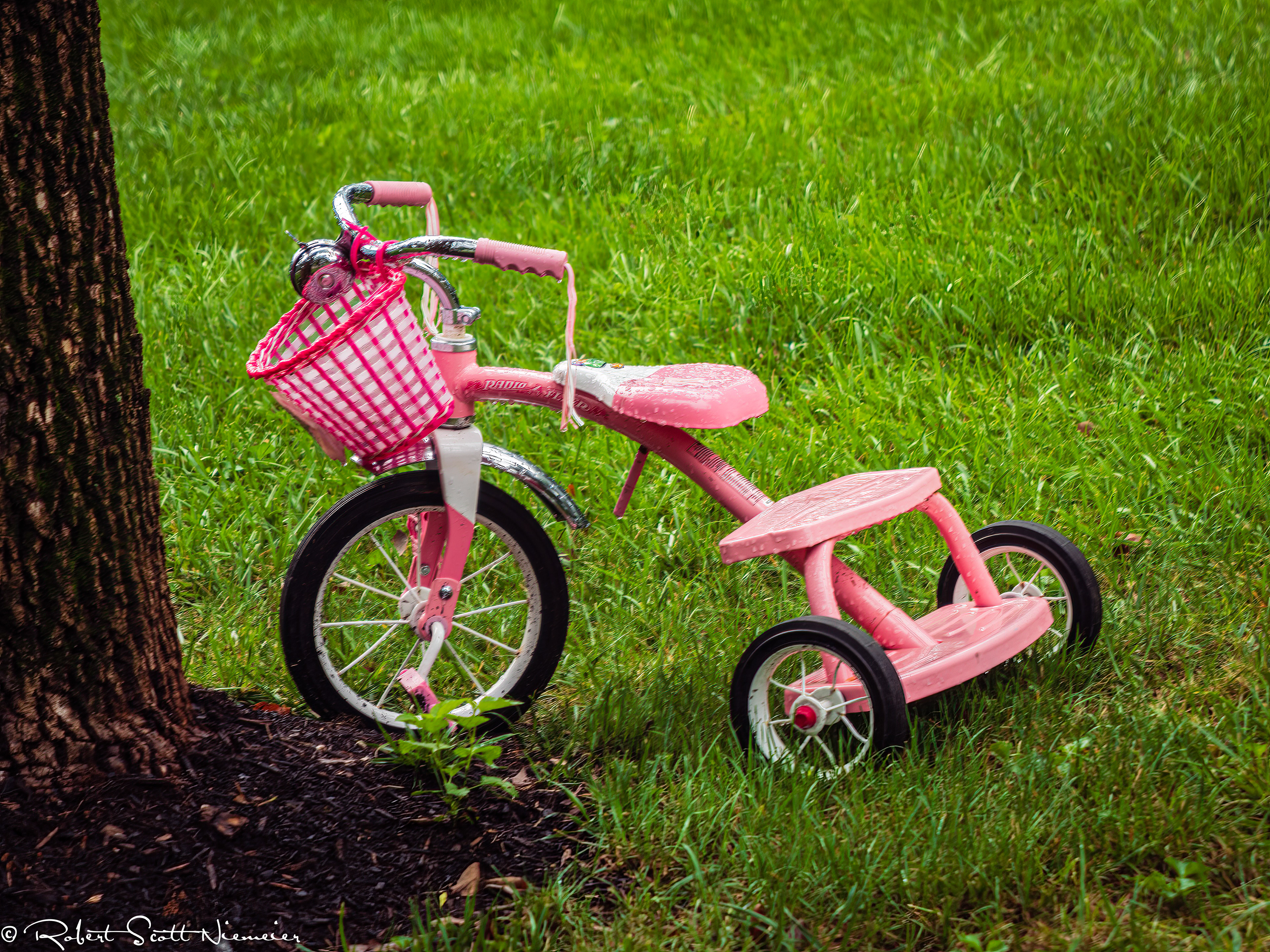 Pink Tricycle