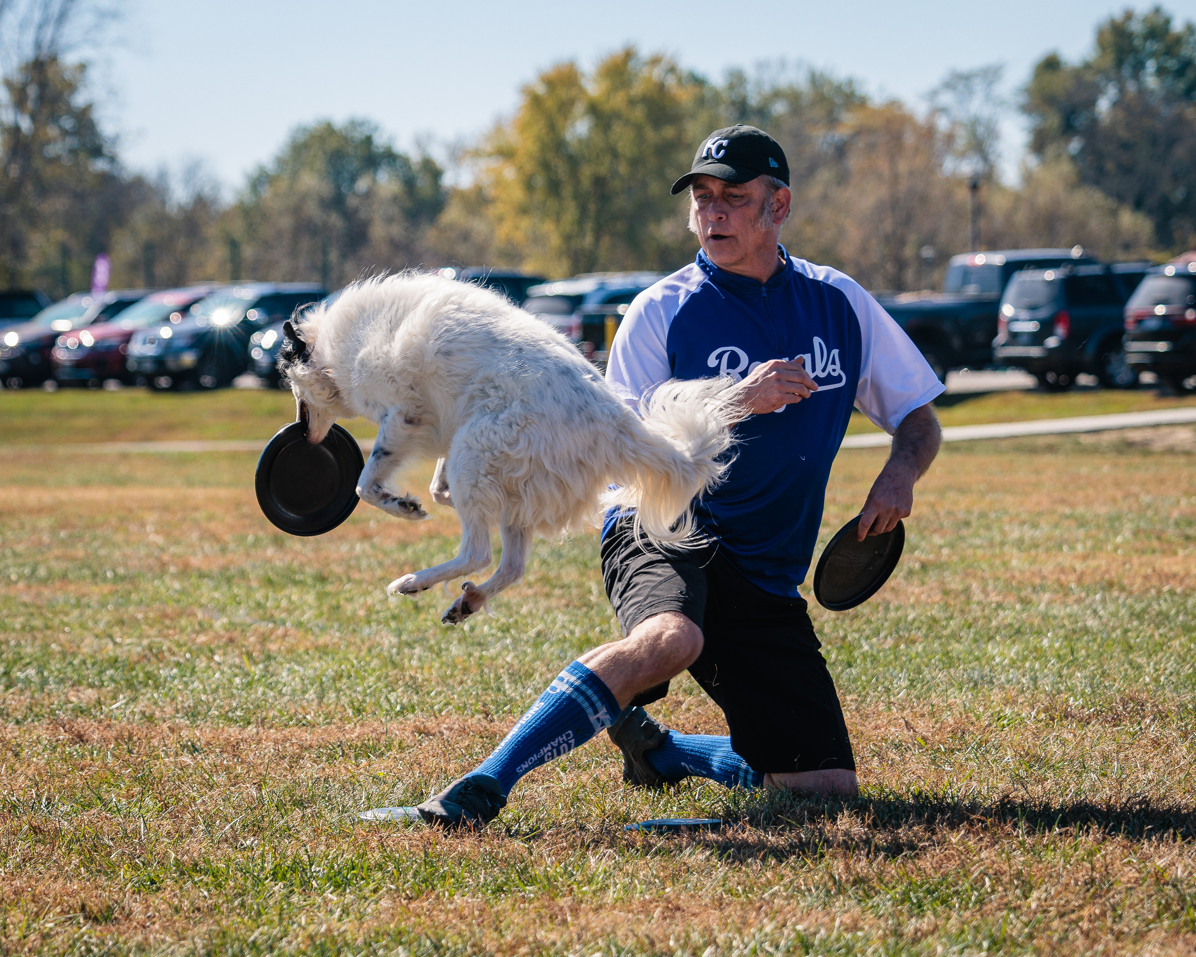 Disc Dogs