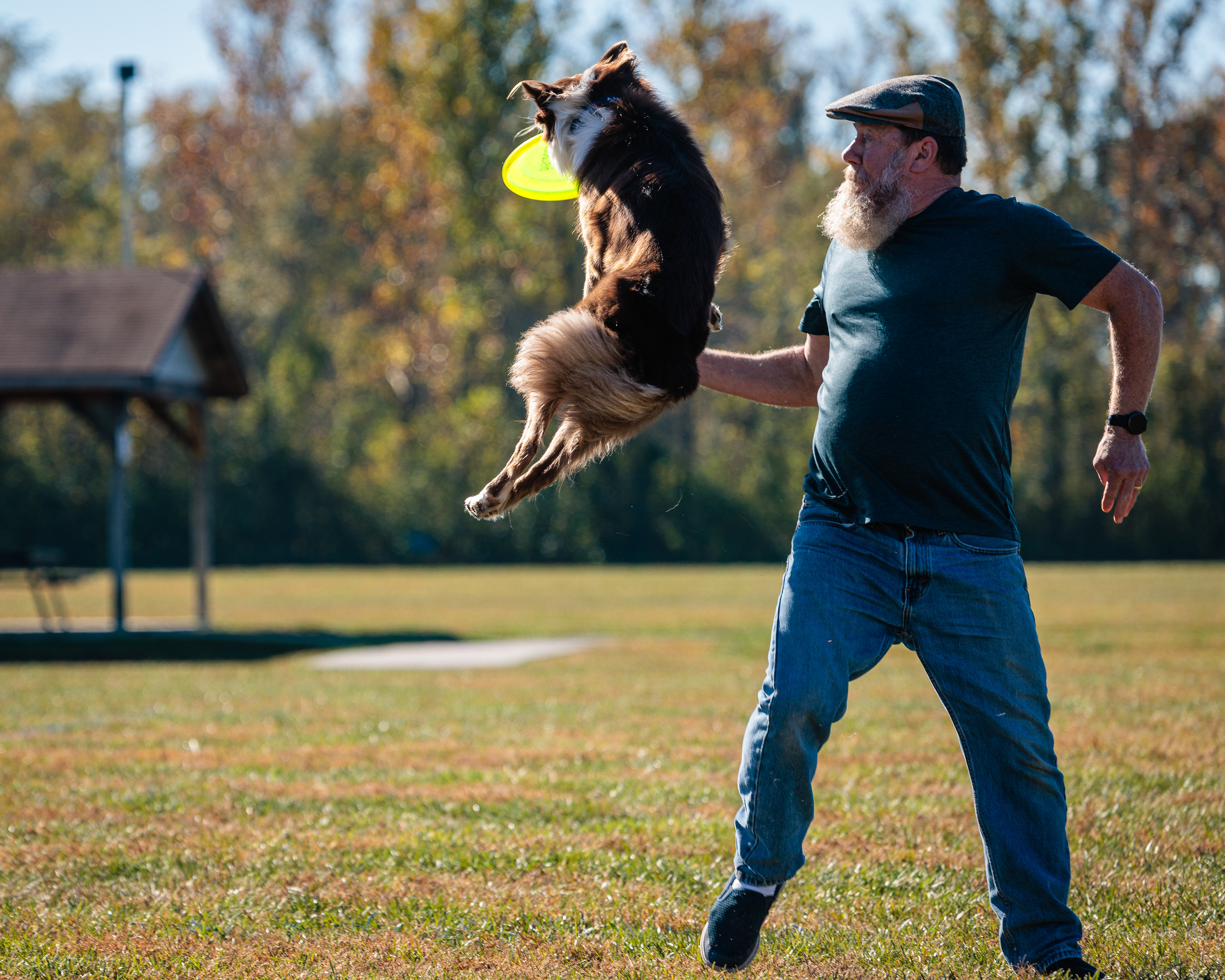 Disc Dogs