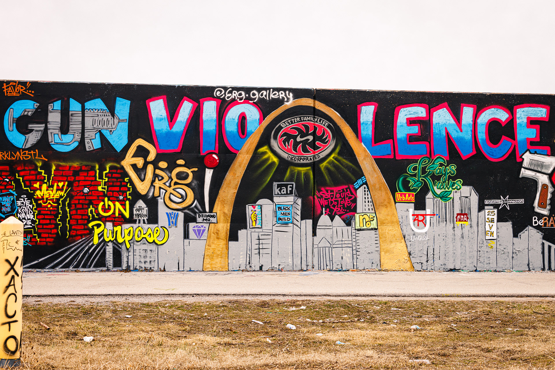 Gun Violence - Better Family Life Incorporated