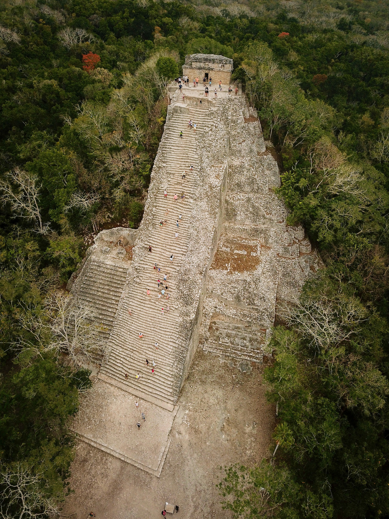 Aerial view of the Highest Mayan pyramid in the Yucatan Peninsula, Nohoch Mul is its name and its in Coba, part of Tulum, Mexico