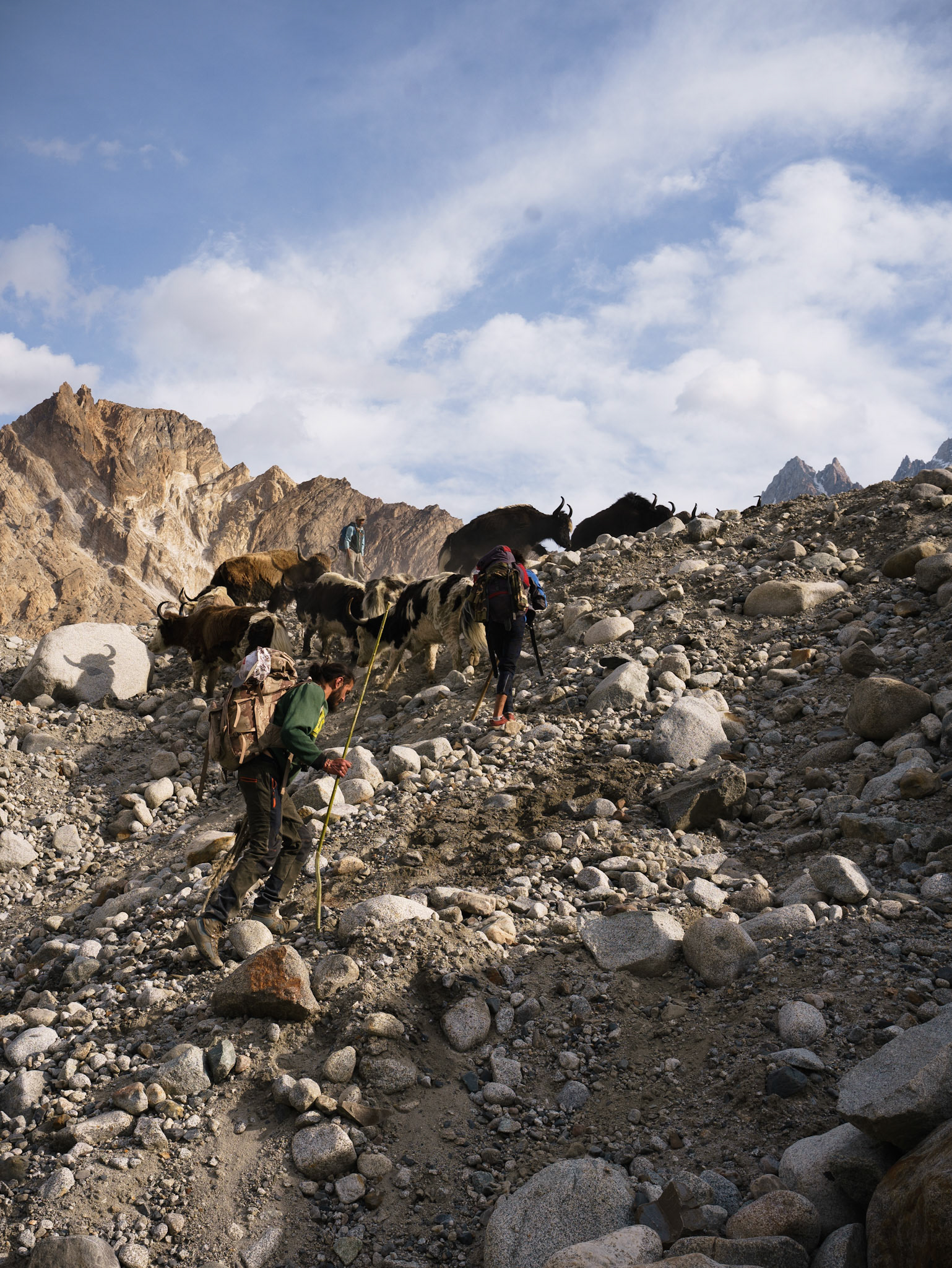 "The last sheephearder migration?", Batura Glacier Valley, Passu, Pakistan, May 2022. Reference 20.