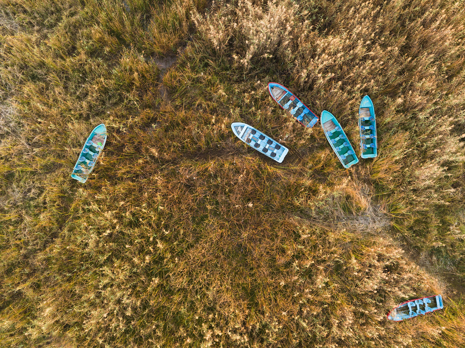 Aerial view of boats parked in the high grass on the shore of Rawal Dam, Bani Gala Islamabad Capital Territory, Pakistan